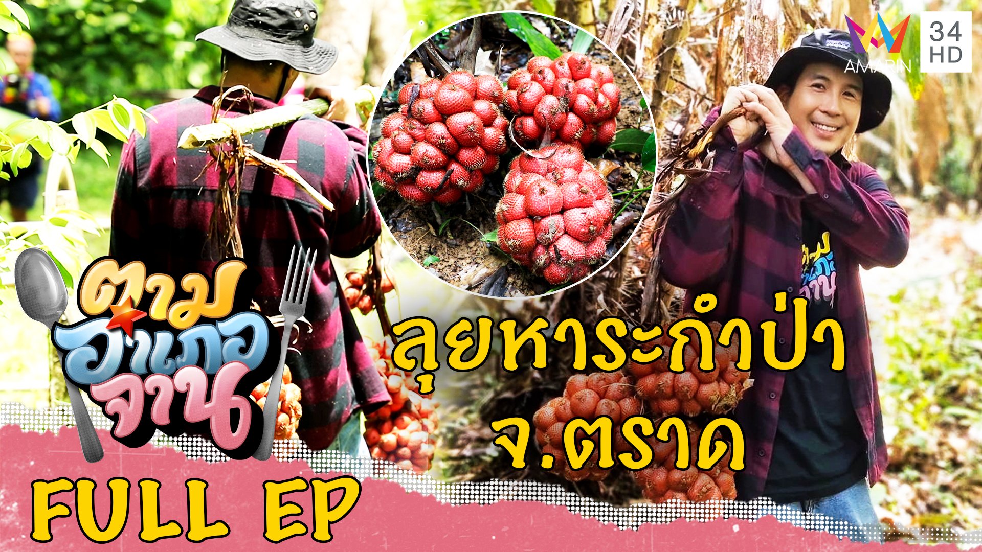 ลุยหาระกำป่า อ.บ่อไร่ จ.ตราด | ตามอำเภอจาน | 15 ก.ค. 66 | AMARIN TVHD34