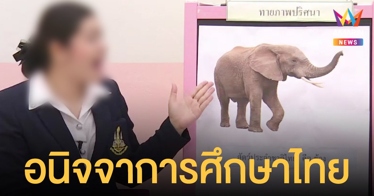 งงดิ งง! ครูสอนออนไลน์ ขึ้นภาพ ช้างแอฟริกา บอกเป็นสัตว์ประจำชาติไทย กรมอุทยานฯ ออกโรงให้ความรู้ 