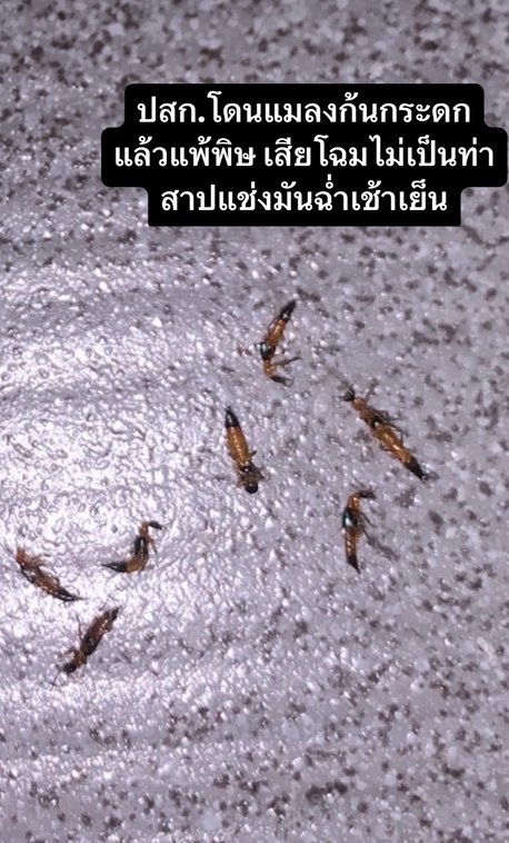 01_2