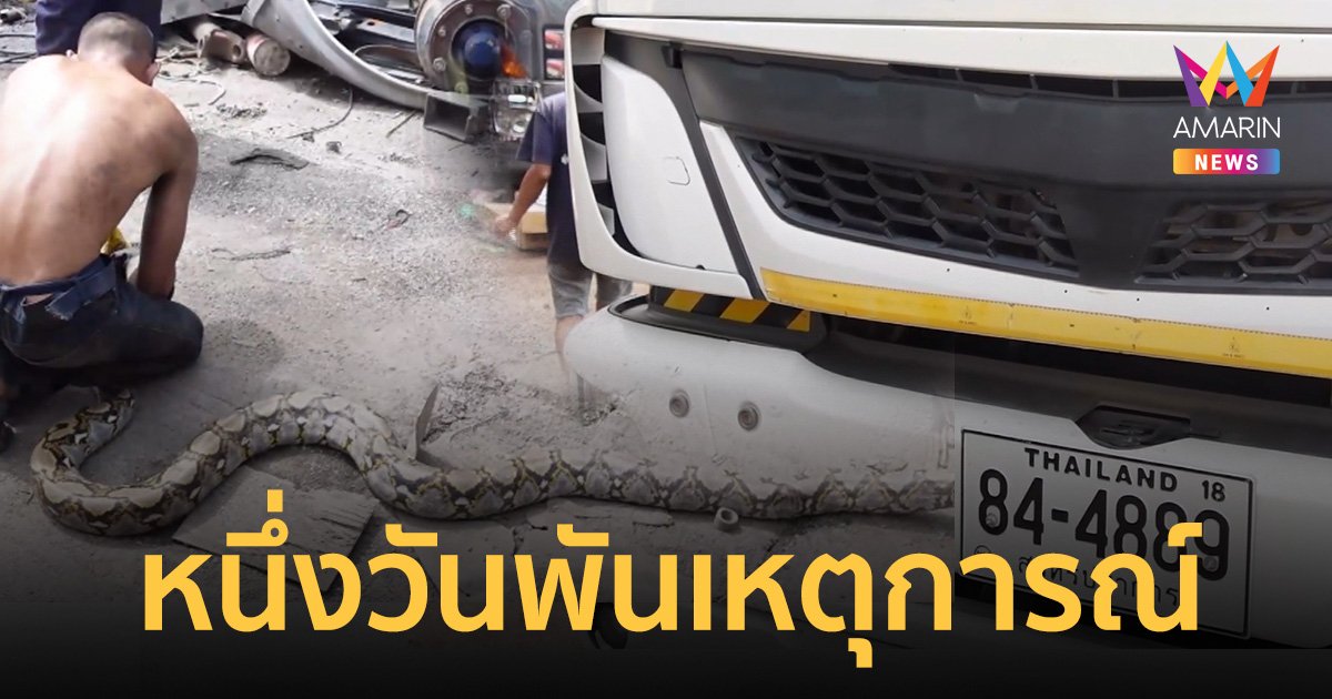 งูเหลือม 4 เมตรแอบขึ้นรถบรรทุก ขณะจอดช่วยอุบัติเหตุ คนขับต้องแข็งใจขับต่อไปให้กู้ภัยช่วย