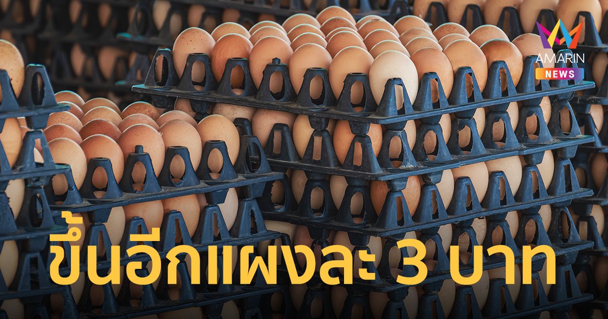 สะดุ้ง! ไข่ไก่ ปรับขึ้นอีกแผงละ 3 บาท เริ่มพรุ่งนี้ (17 ส.ค.65)