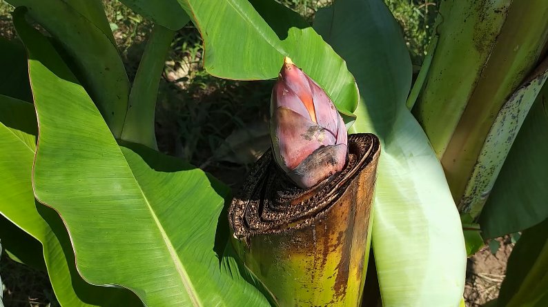 เลขเด็ด 16 ต.ค.65