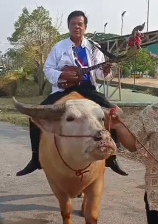 สมัคร ส.ส.ชัยภูมิ 