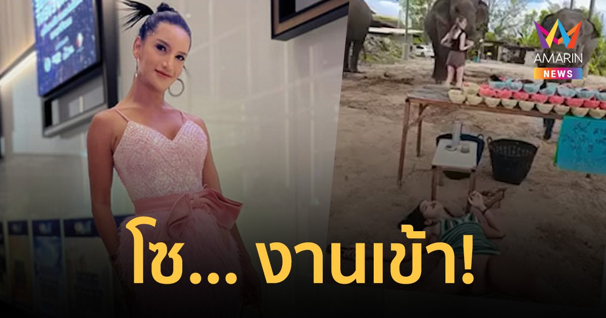 รถทัวร์จอดแน่น! "เพชรชี่ ปากปลาร้าหน้าเป๊ะ" ไลฟ์หวิวขายอาหารเลี้ยงช้าง