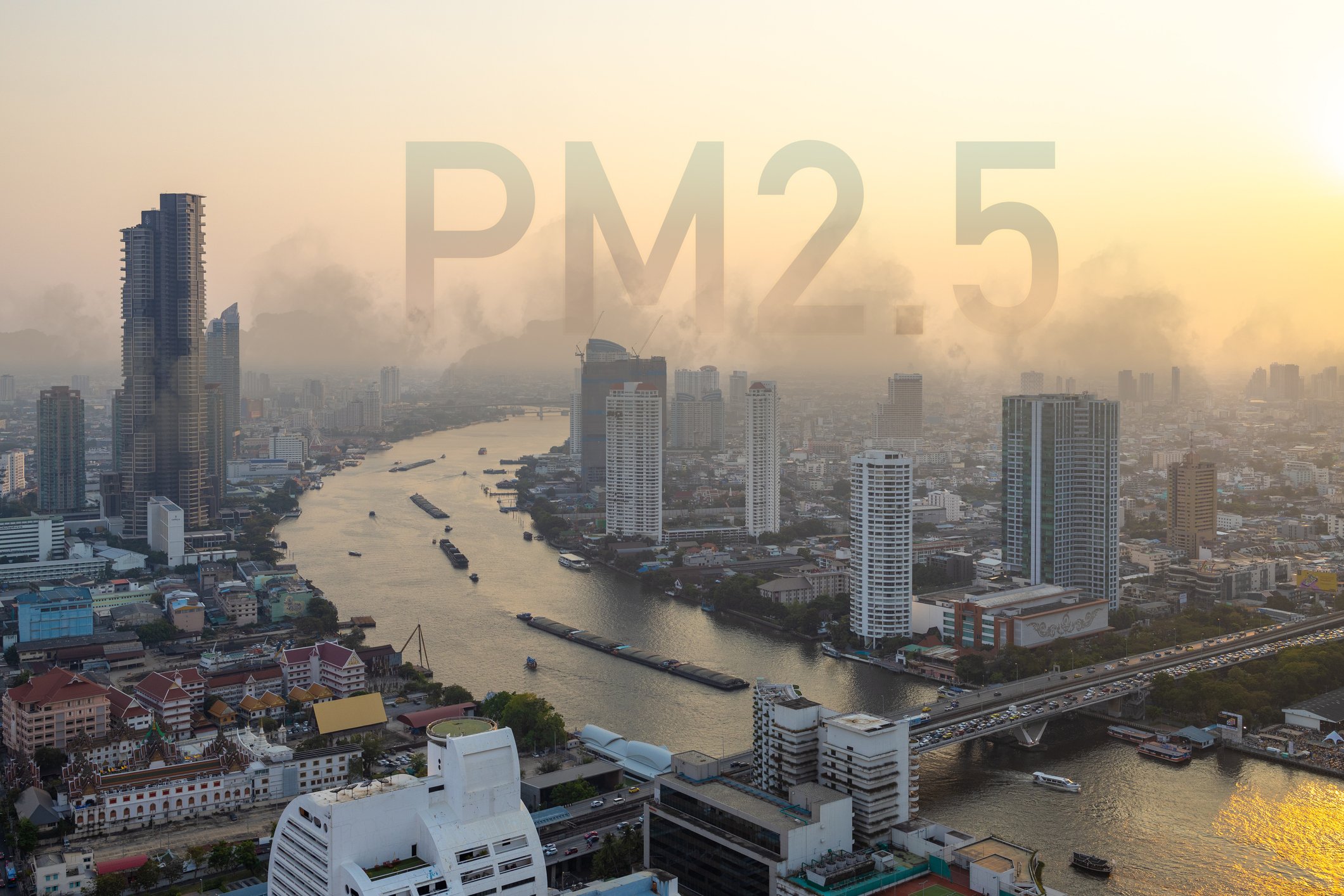ฝุ่น PM2.5 