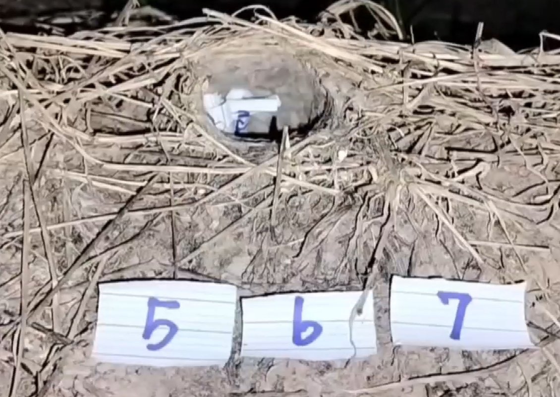 เลขเด็ด 31/7/66