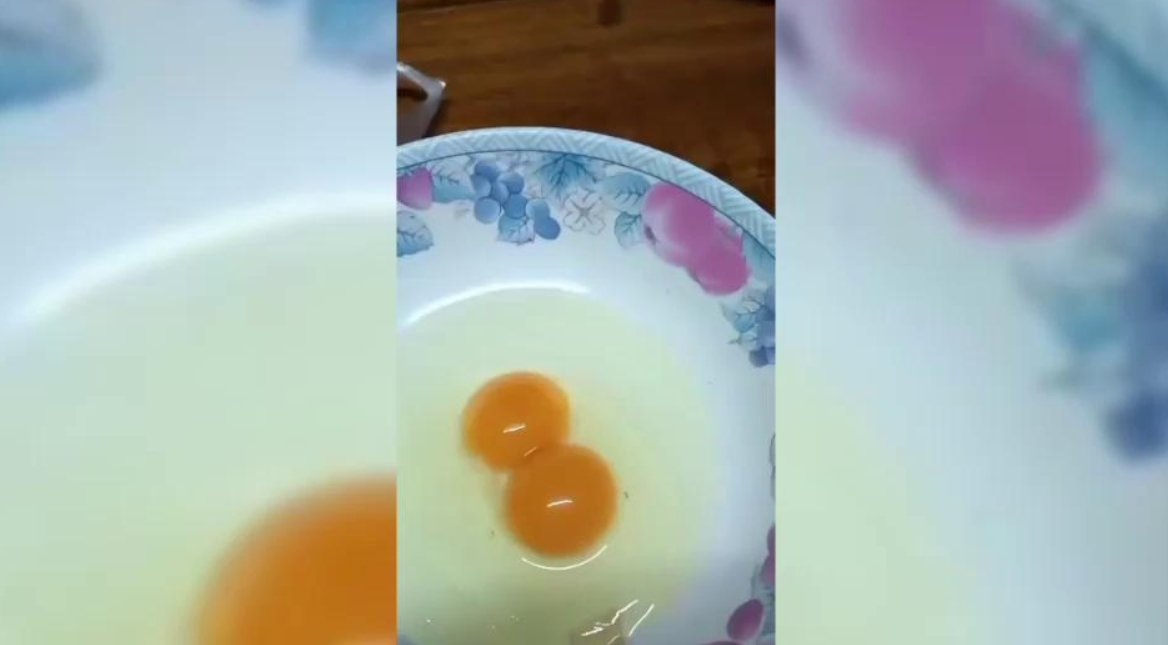 ไข่แฝด