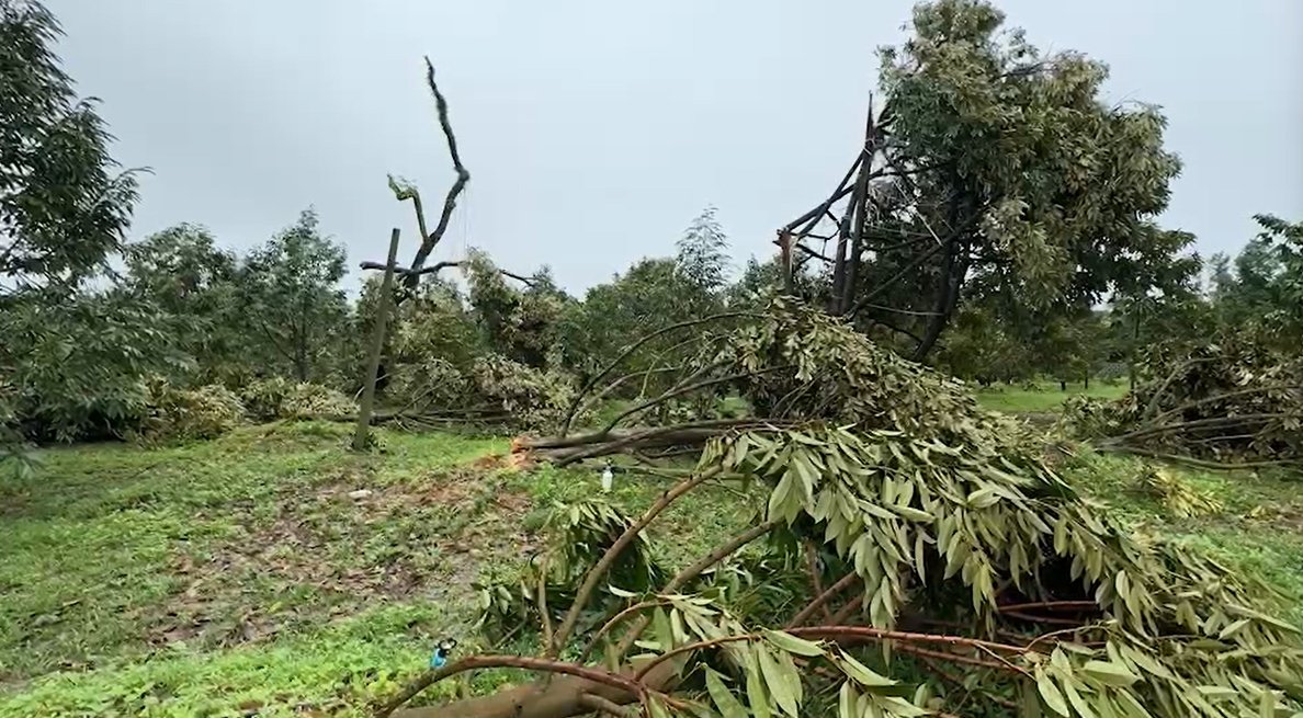 พายุถล่มจันทบุรี 