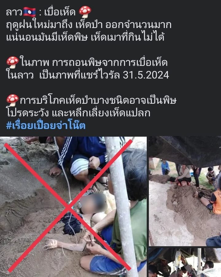 Fake News ตัวฝังดินถอนพิษเห็ดเมา