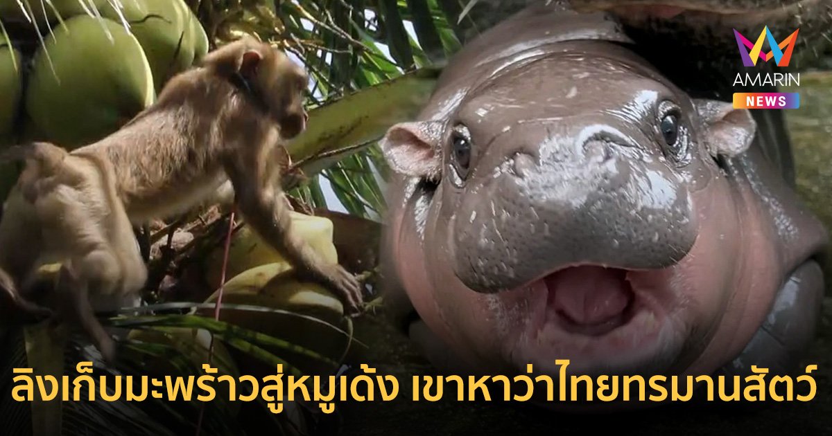 PETA (พีต้า) จุดประสงค์ที่แท้จริงของการก่อตั้งองค์กร เคยพิพาทกับไทยเรื่องอะไรบ้าง ก่อนหน้าปม "หมูเด้ง" 