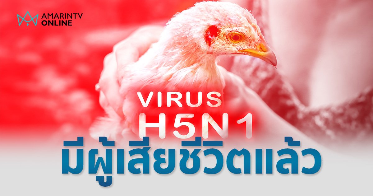 ไข้หวัดนก H5N1 ระบาดในกัมพูชา มีผู้เสียชีวิตแล้ว ไทยต้องเตรียมรับมือแล้วหรือไม่ ชายแดนติดกัน ?