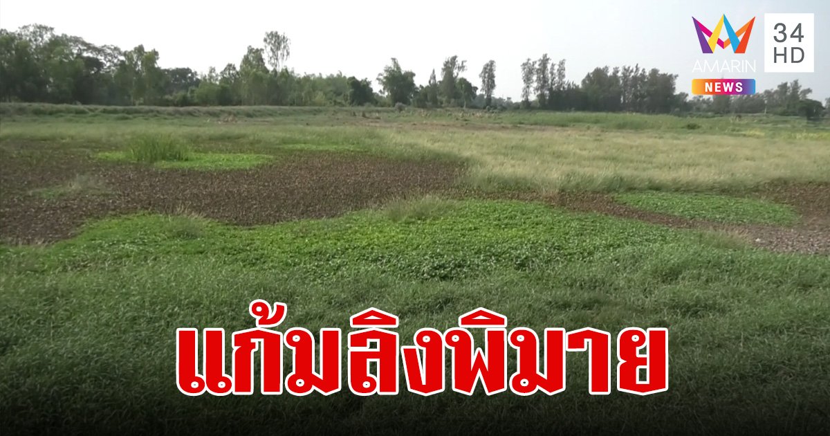 เปิดแนวคิด "แก้มลิงพิมาย" ใช้พื้นที่รกร้างแก้ปัญหาภัยแล้งอย่างยั่งยืน 