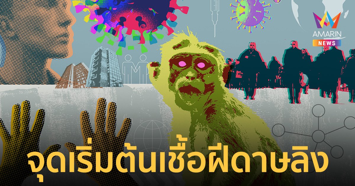 เปิดจุดเริ่มต้นเชื้อ "ฝีดาษลิง Mpox" พบในลิงเลี้ยงไว้ทดลอง 