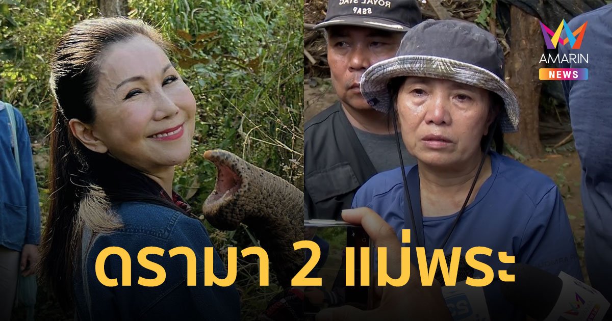 เดือด! ปางช้างดังท้า "หนูนา กัญจนา" กลับมารับช้าง 2 เชือกไปเลี้ยง เจ้าตัวลั่นจะไปรับถึงที่