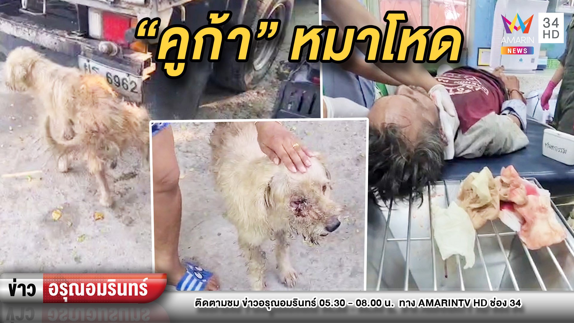 หนุ่มช่างประปาโชคร้าย หมาขย้ำคอเลือดสาด | ข่าวอรุณอมรินทร์ | 27 เม.ย. 63 | AMARIN TVHD34