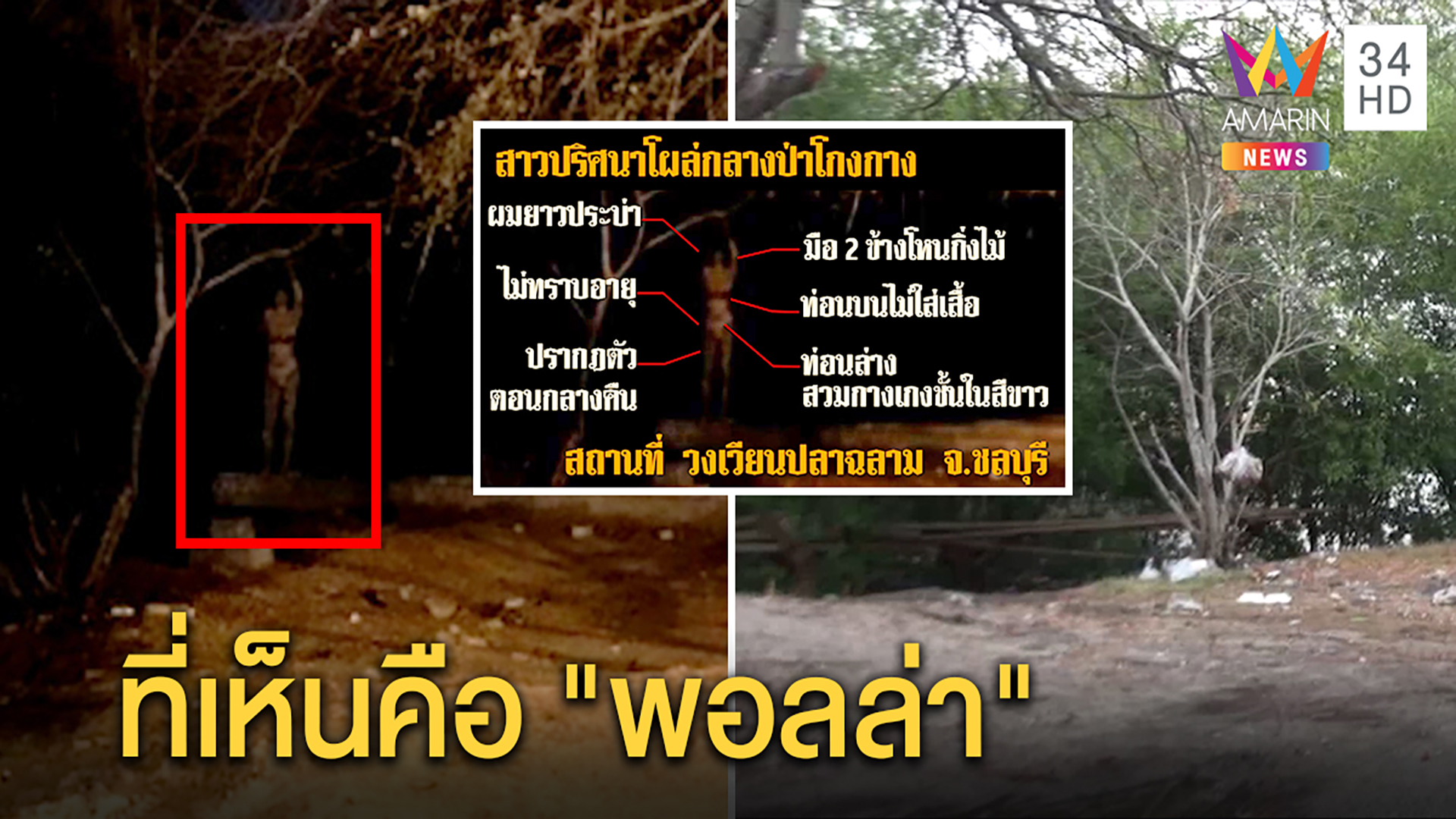 ไขคำตอบ!ภาพถ่ายติดสาวปริศนาโผล่ป่าโกงกาง ไม่ใช่ผีนางไม้ | ทุบโต๊ะข่าว | 15 มี.ค. 63 | AMARIN TVHD34
