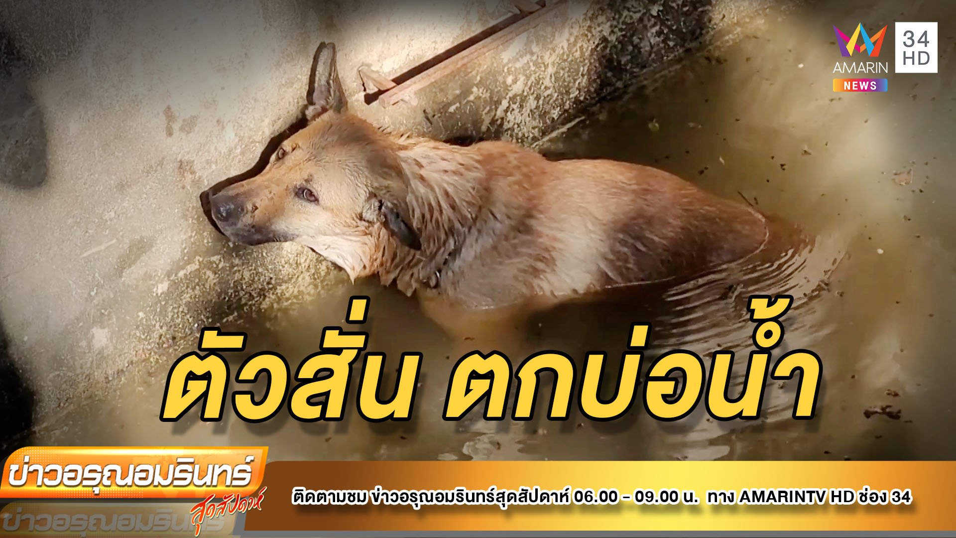 ช่วยหมาวิ่งหนีพลุเคานต์ดาวน์ ตกบ่อน้ำลึก 10 เมตร | ข่าวอรุณอมรินทร์ | 2 ม.ค. 65 | AMARIN TVHD34