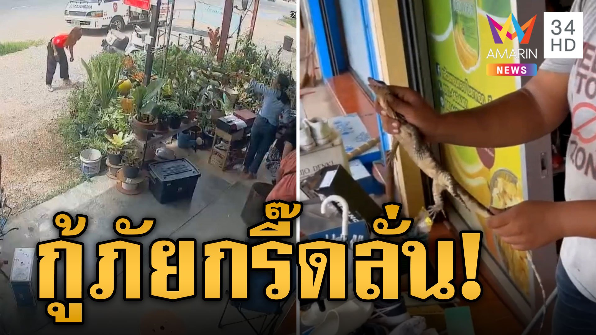 กู้ภัยเสียอาการ กรี๊ดลั่นช่วยชาวบ้านจับตัวเหี้ย | ข่าวอรุณอมรินทร์ | 11 ก.ค. 67 | AMARIN TVHD34