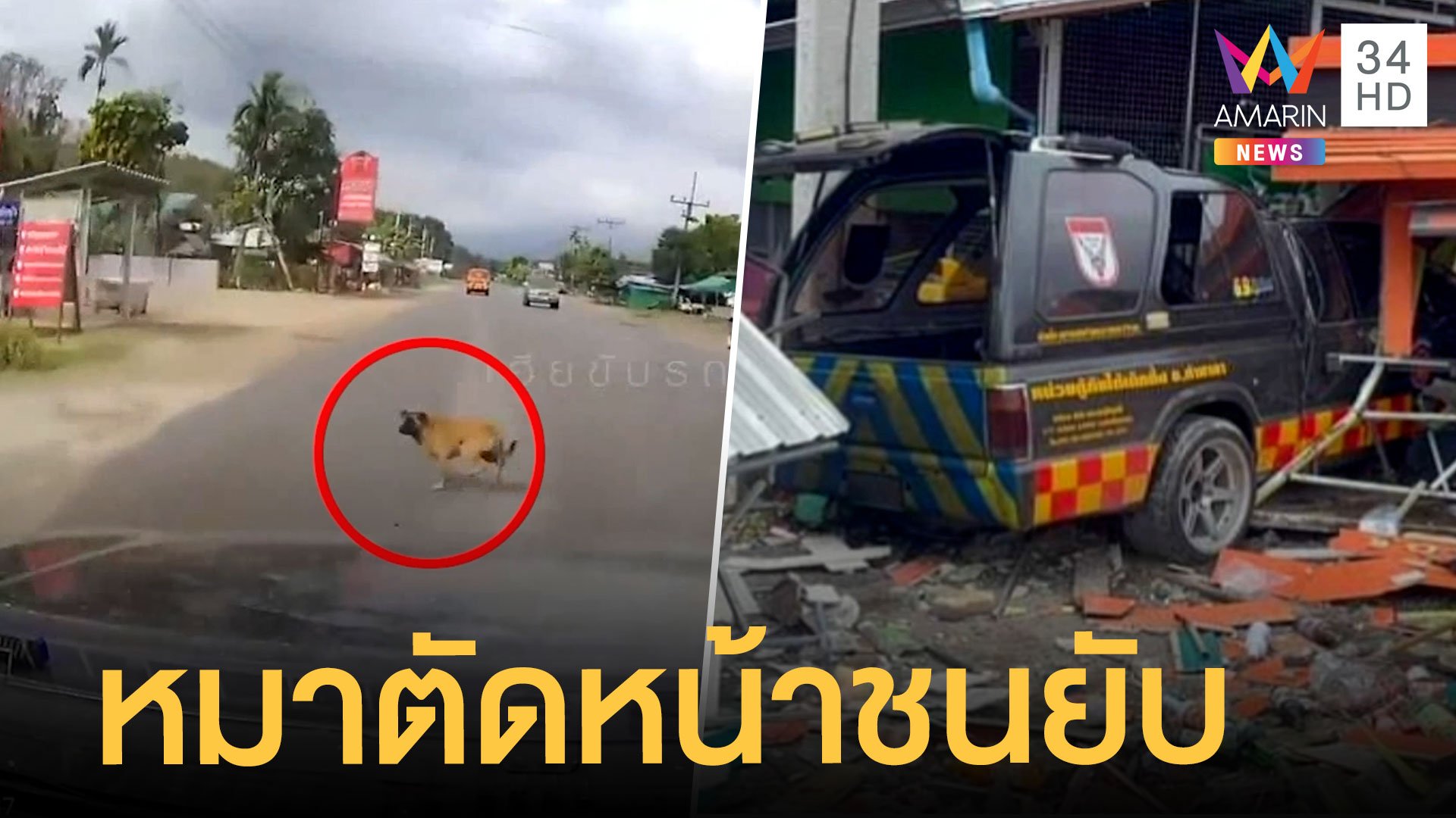 หมาวิ่งตัดหน้ารถกู้ภัย เสียหลักชนร้านค้าพัง เจ็บ 2 | ข่าวเที่ยงอมรินทร์ | 10 ก.พ. 65 | AMARIN TVHD34