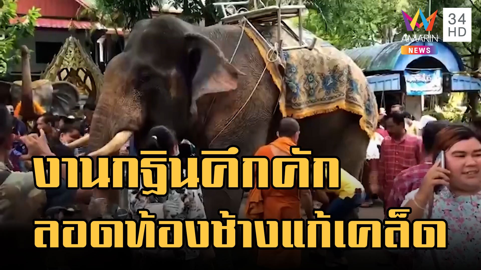 กฐินคึกครื้น ชาวทุ่งใหญ่ดีใจร่วมกิจกรรมลอดท้องช้าง | ข่าวเที่ยงอมรินทร์ | 16 พ.ย. 65 | AMARIN TVHD34