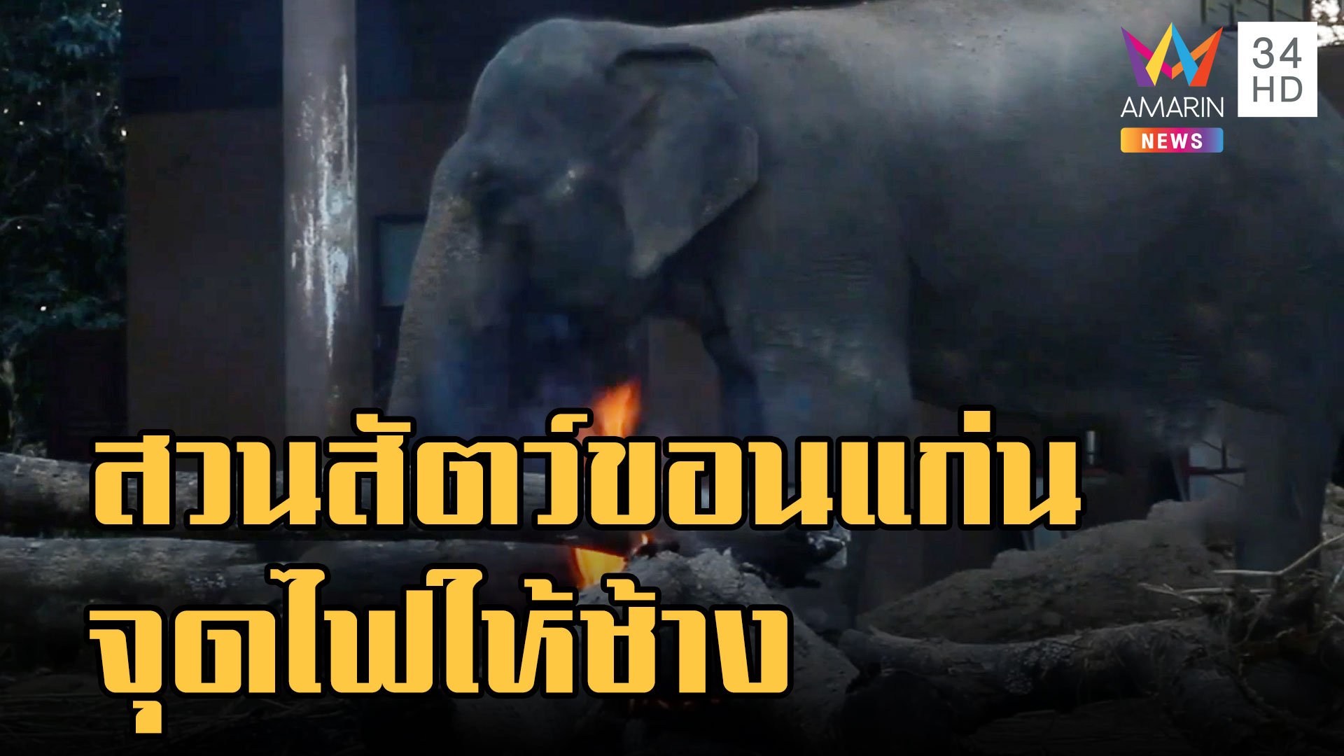 สวนสัตว์ขอนแก่นจุดไฟสร้างความอบอุ่นให้ช้าง | ข่าวเที่ยงอมรินทร์ | 23 ธ.ค. 65 | AMARIN TVHD34