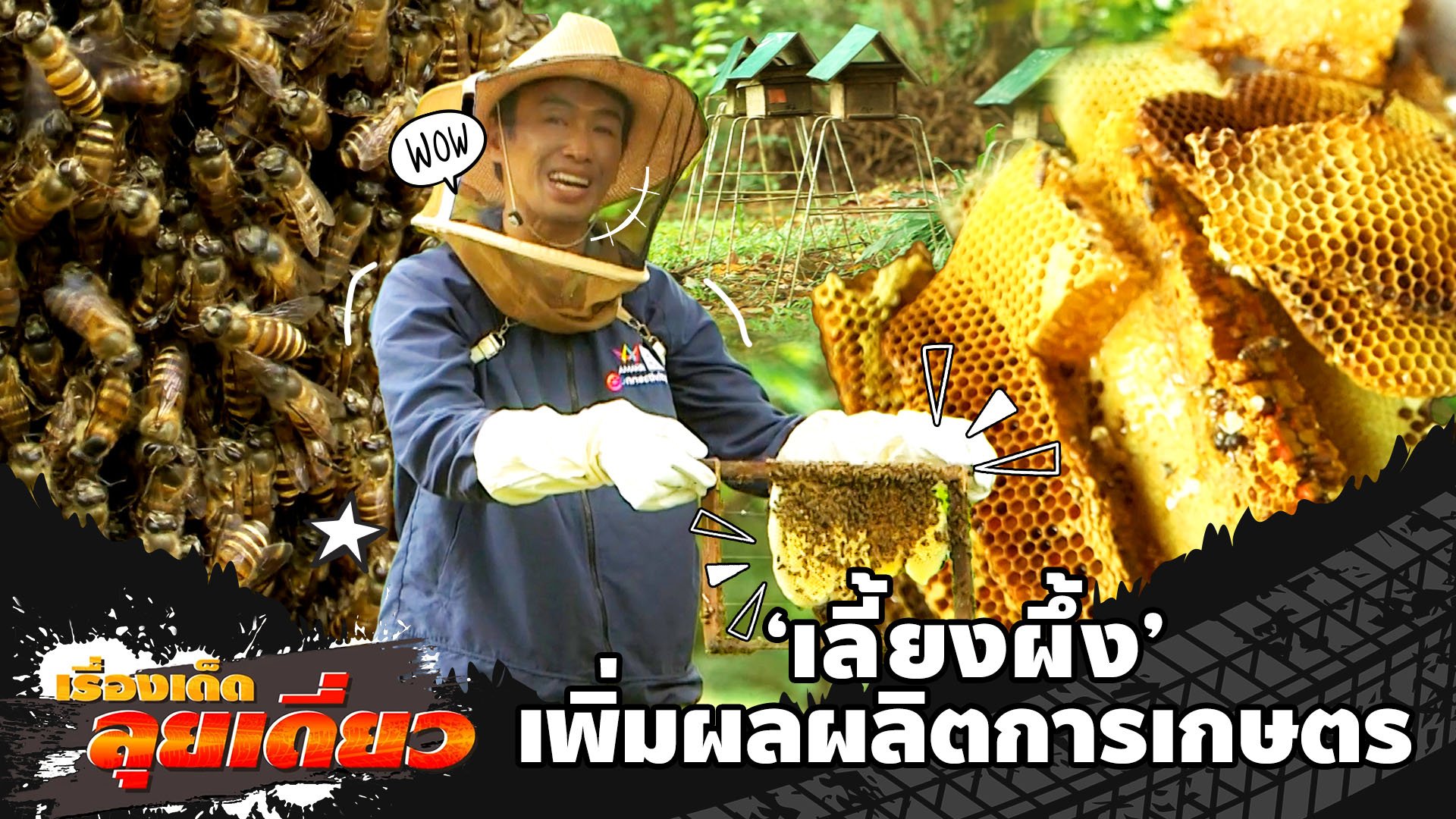 เลี้ยงผึ้ง เพิ่มผลผลิตการเกษตร | ข่าวเที่ยงอมรินทร์ | 29 พ.ย. 65 | AMARIN TVHD34