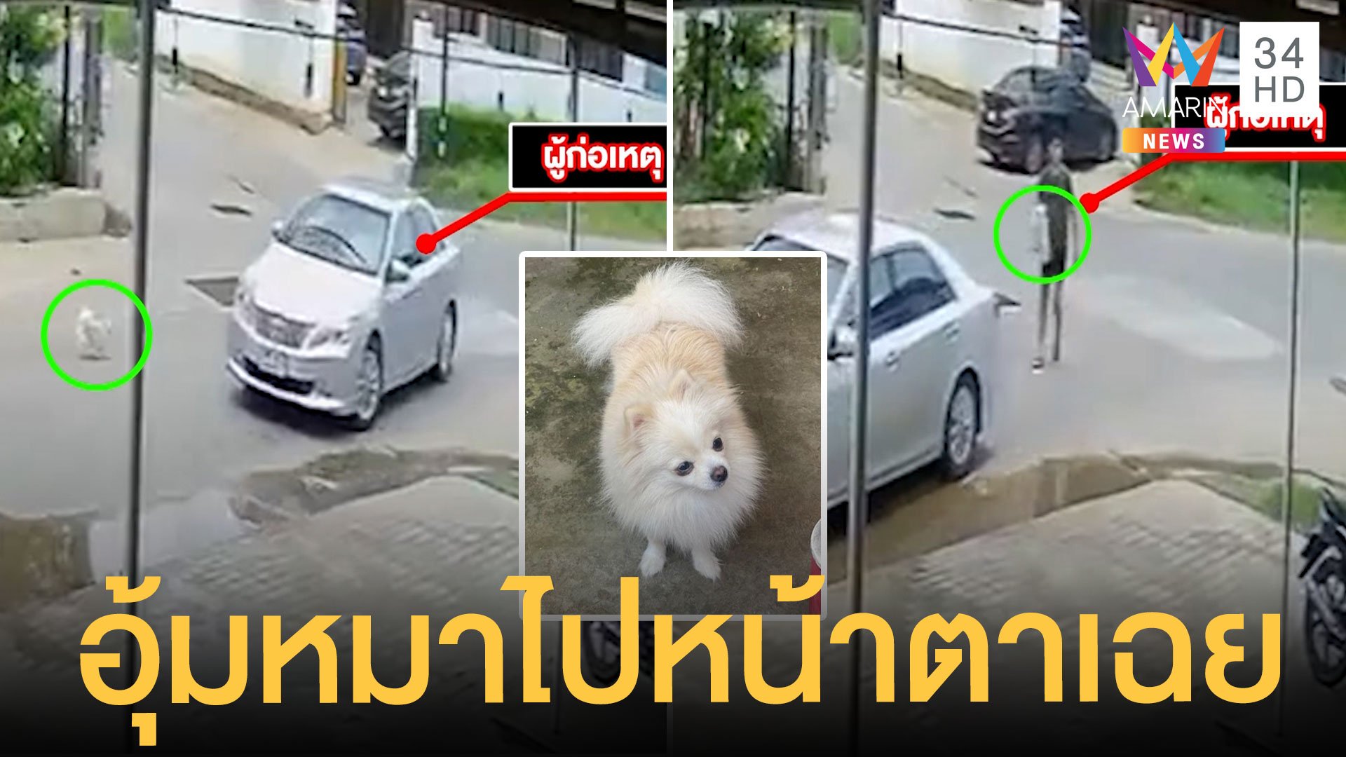 หมาหลุดจากบ้าน เก๋งจอดอุ้มขึ้นรถไปหน้าตาเฉย เจ้าของน้ำตาคลอขอคืน | ข่าวเที่ยงอมรินทร์ | 29 เม.ย. 65 | AMARIN TVHD34