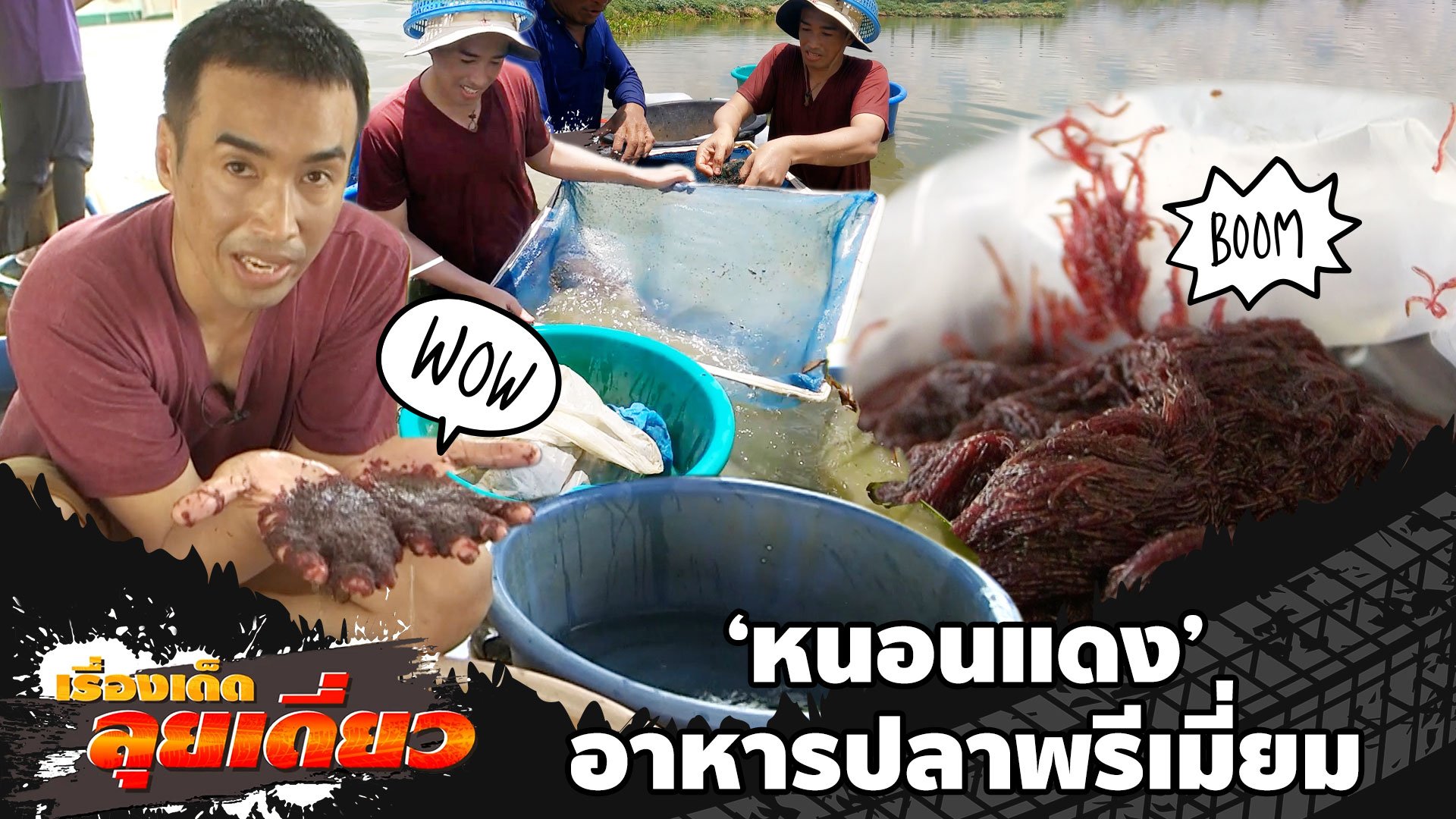 "หนอนแดง" อาหารสุดพรีเมี่ยม จ.ราชบุรี | ข่าวเที่ยงอมรินทร์ | 30 ส.ค. 65 | AMARIN TVHD34