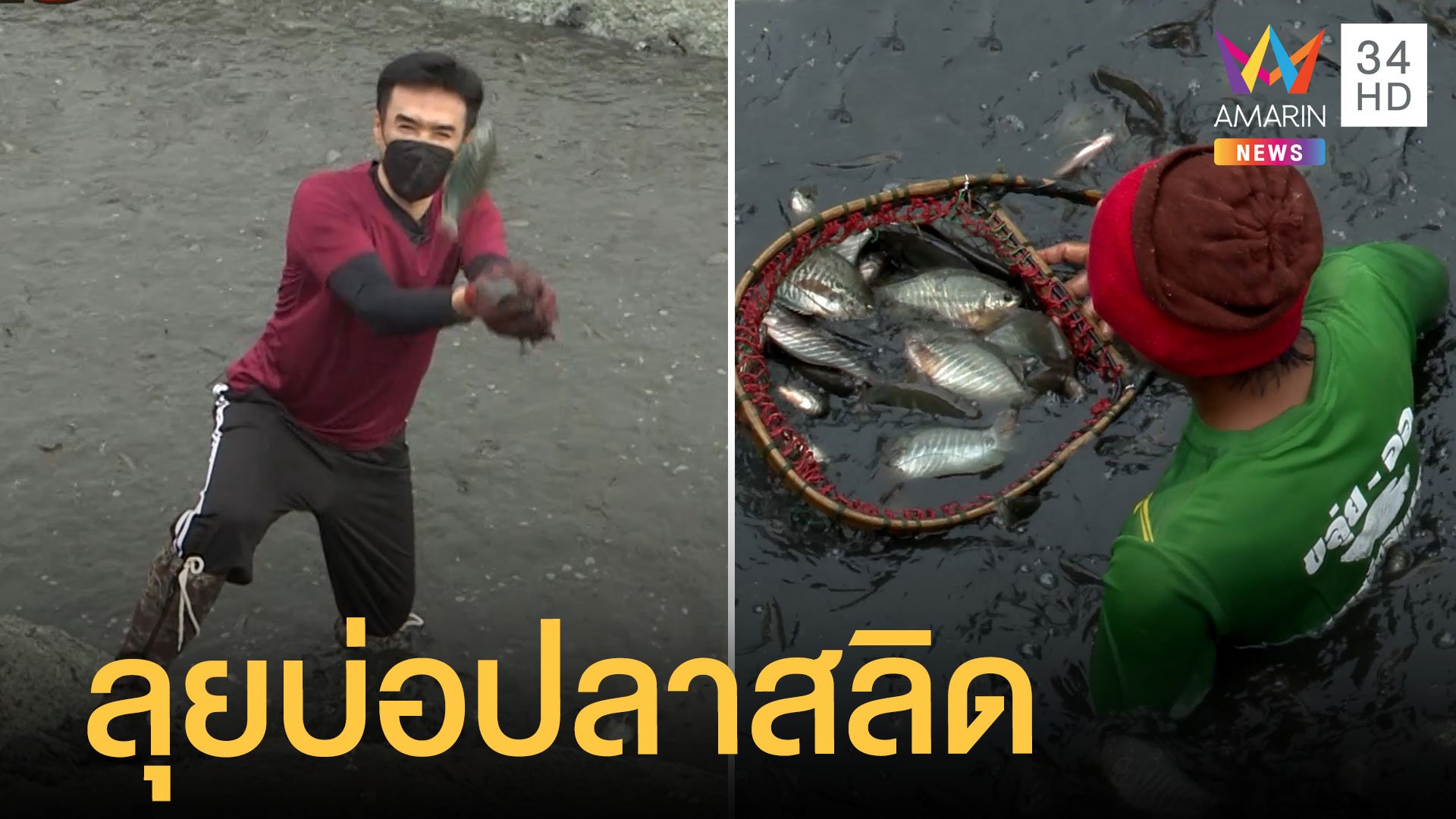 เรื่องเด็ดลุยเดี่ยว | ลุยบ่อปลาสลิด ไขข้อข้องใจตัดหัวปลาสลิดทำไม ? | ข่าวเที่ยงอมรินทร์ | 31 พ.ค. 65 | AMARIN TVHD34