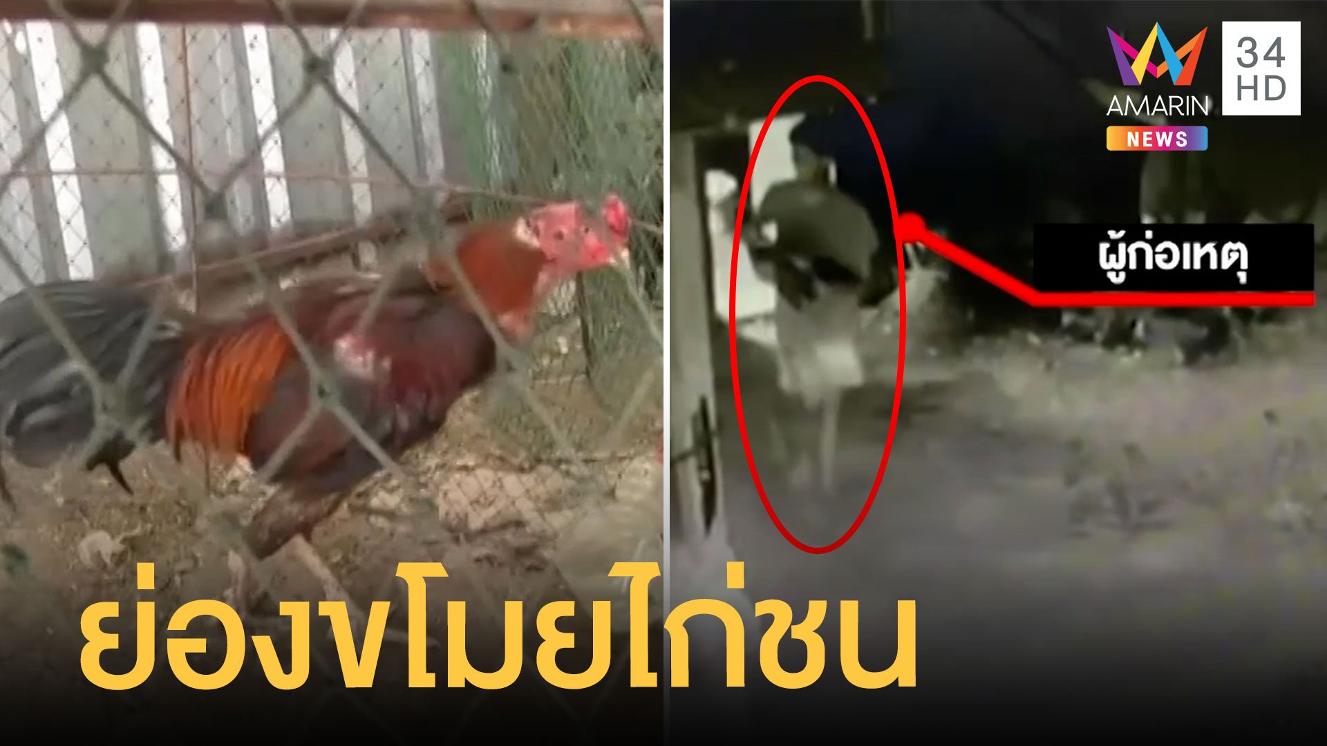 เด็กย่องขโมยไก่ชนเจ้าของอู่ซ่อมรถ เพื่อนทิ้งวิ่งกระโดดข้ามรั้วหนี | ข่าวเที่ยงอมรินทร์ | 31 พ.ค. 65 | AMARIN TVHD34