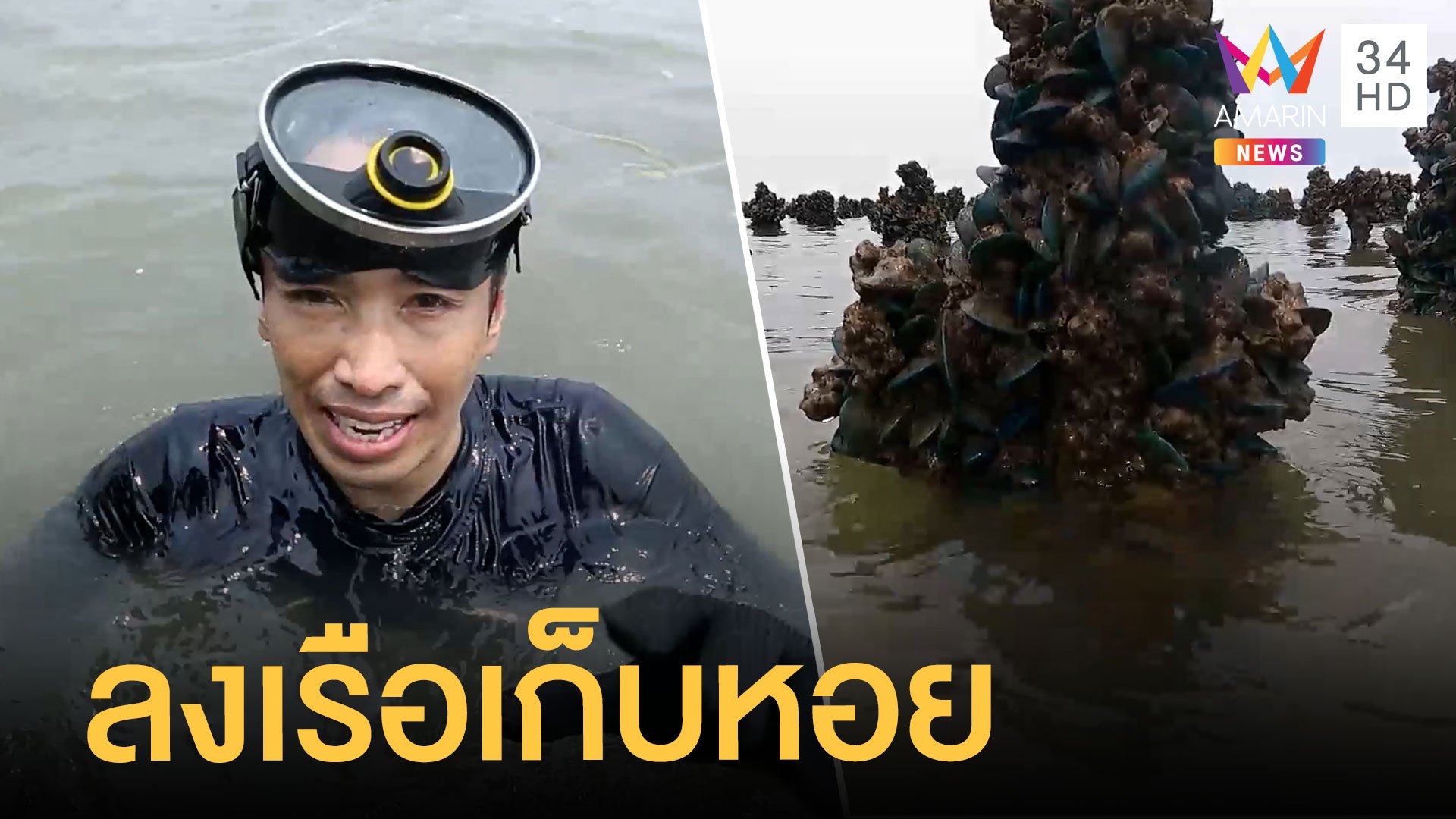ลงเรือหาหอยแมลงภู่ ส่งตรงจากทะเลสมุทรสาคร  | ข่าวเที่ยงอมรินทร์ | 5 พ.ค. 65 | AMARIN TVHD34