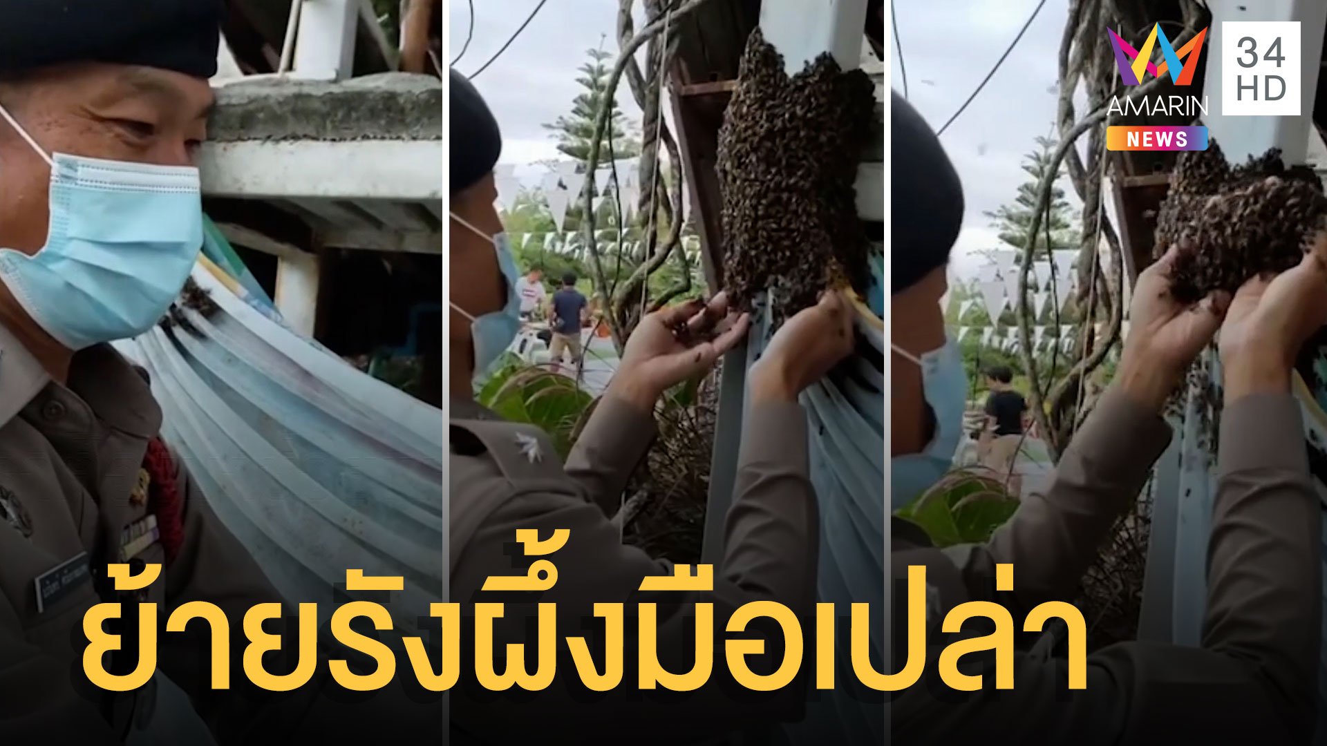 ตร.จอมขมังเวทย์ ร่ายคาถาสะกดผึ้ง ย้ายรังโดยใช้มือเปล่า | ข่าวเที่ยงอมรินทร์ | 7 พ.ค. 65 | AMARIN TVHD34