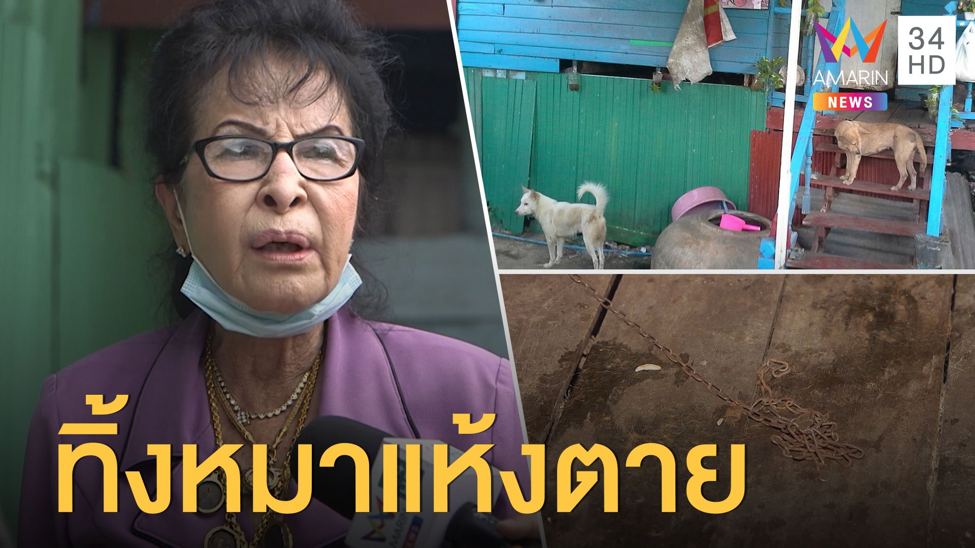  สาวค้างค่าเช่าห้อง ทิ้งหมาแห้งตายคาบ้าน | ข่าวเที่ยงอมรินทร์ | 11 ก.ย. 63 | AMARIN TVHD34