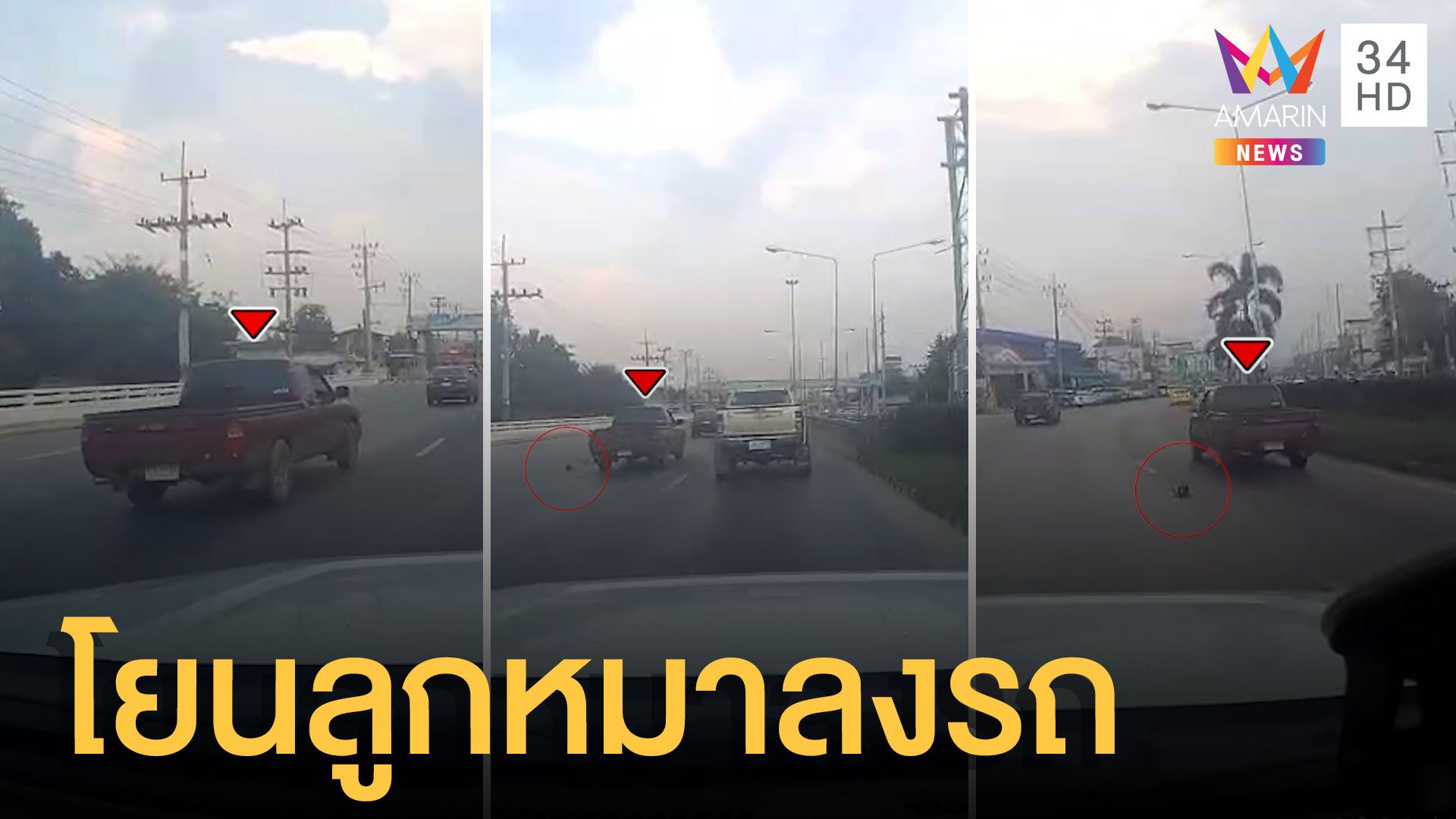 ใจร้ายมาก กระบะขับบนถนนโยนลูกหมาลงจากรถ | ข่าวเที่ยงอมรินทร์ | 22 พ.ย. 64 | AMARIN TVHD34