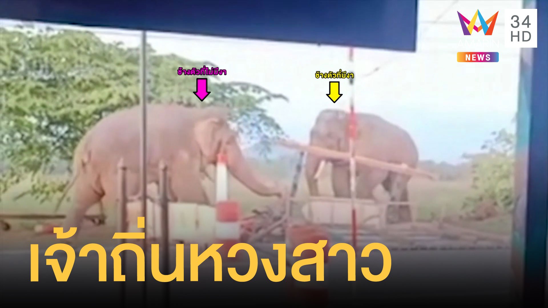 ช้างป่าเจ้าถิ่นไม่ยอมช้างคู่อริซัดกันนัว ด่านตรวจทหารพังราบ | ข่าวอรุณอมรินทร์ | 23 พ.ย. 63 | AMARIN TVHD34