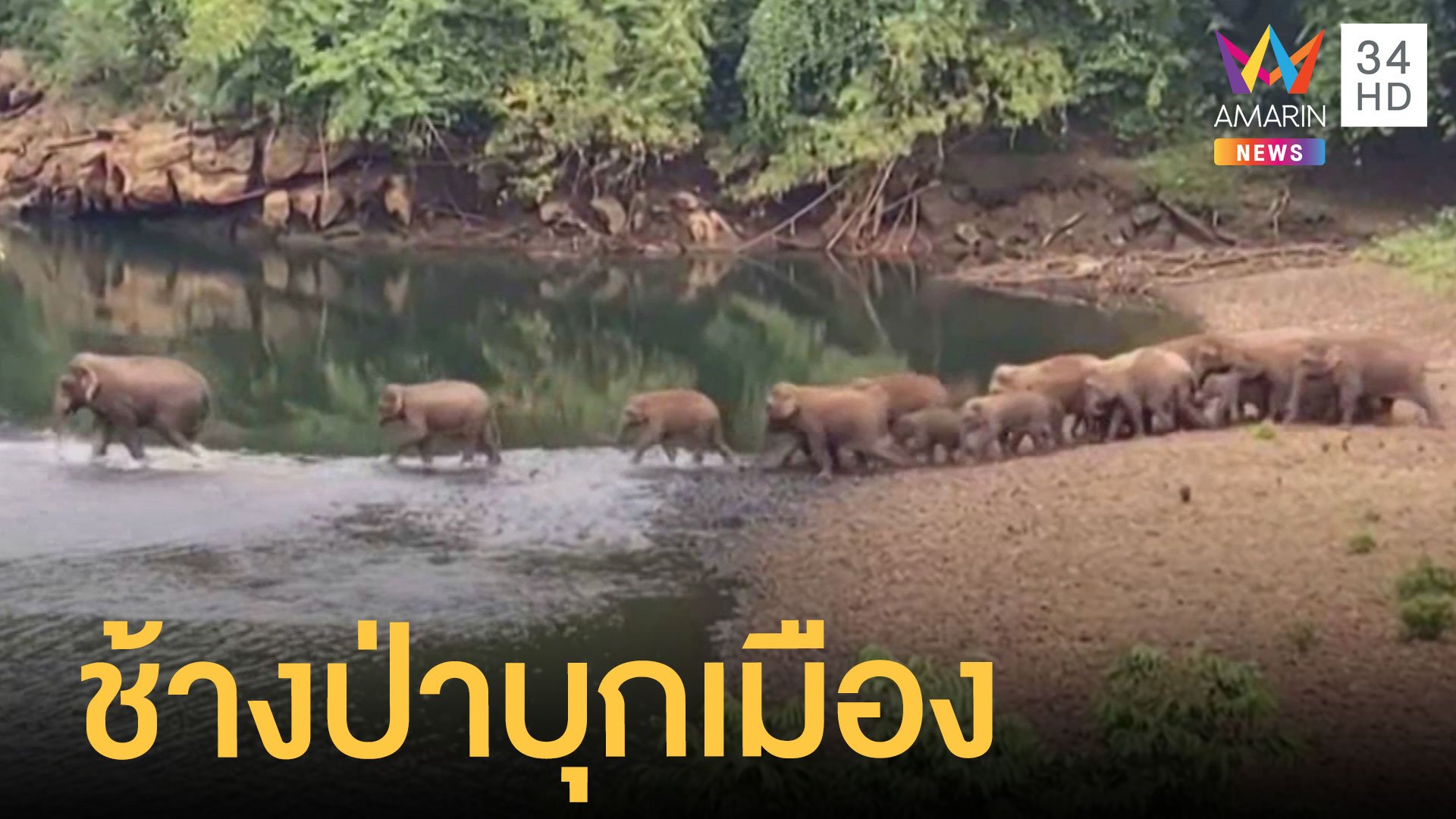 ผลักดันโขลงช้างป่า 20 ตัวกลับถิ่น หลังข้ามแม่น้ำมาหากิน | ข่าวเที่ยงอมรินทร์ | 4 ธ.ค. 63 | AMARIN TVHD34