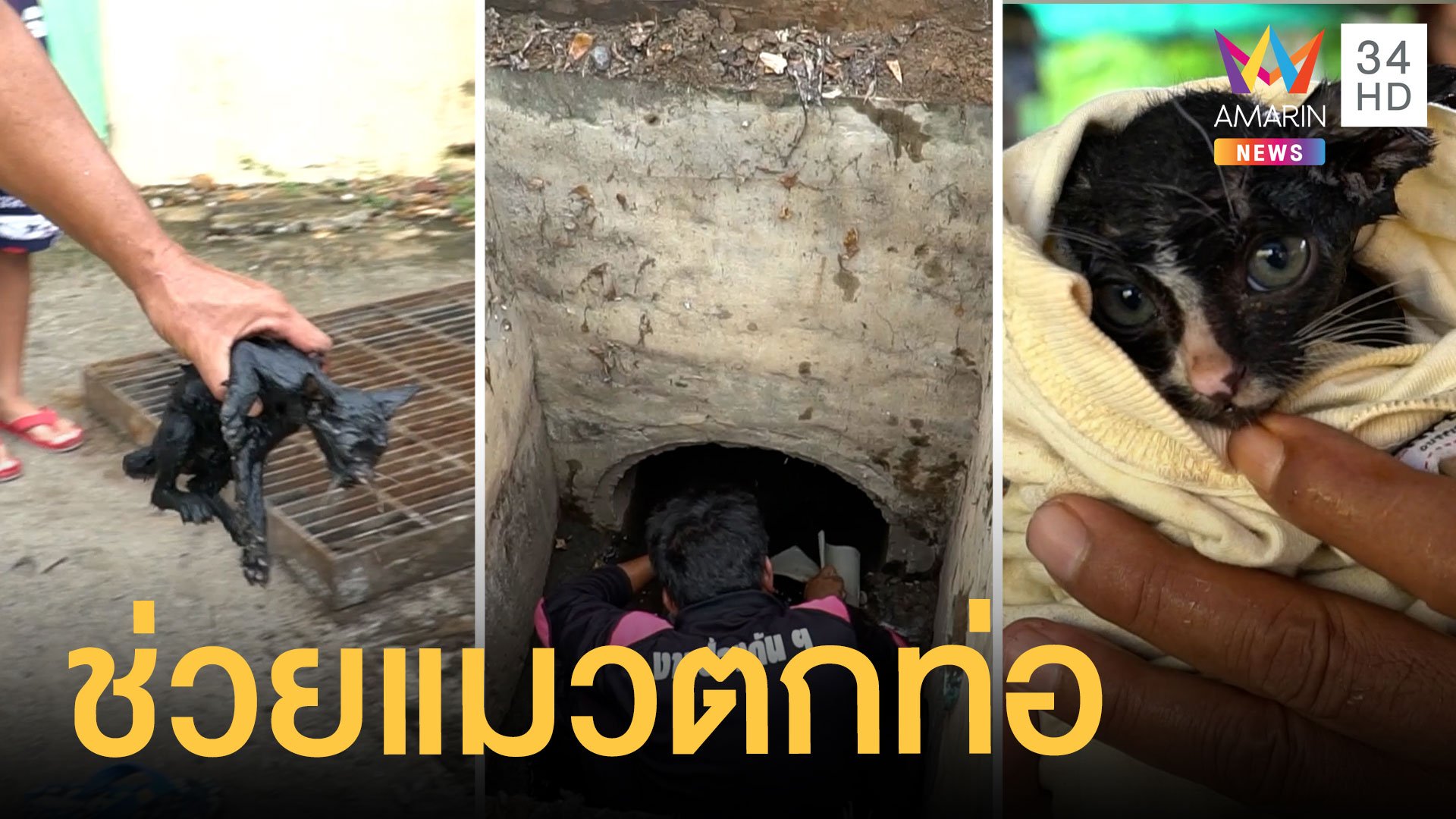 กู้ภัยเปิดภารกิจเปิดท่อระบายน้ำช่วยลูกแมว สุดท้ายรอดตาย | ข่าวอรุณอมรินทร์ | 8 พ.ย. 63 | AMARIN TVHD34