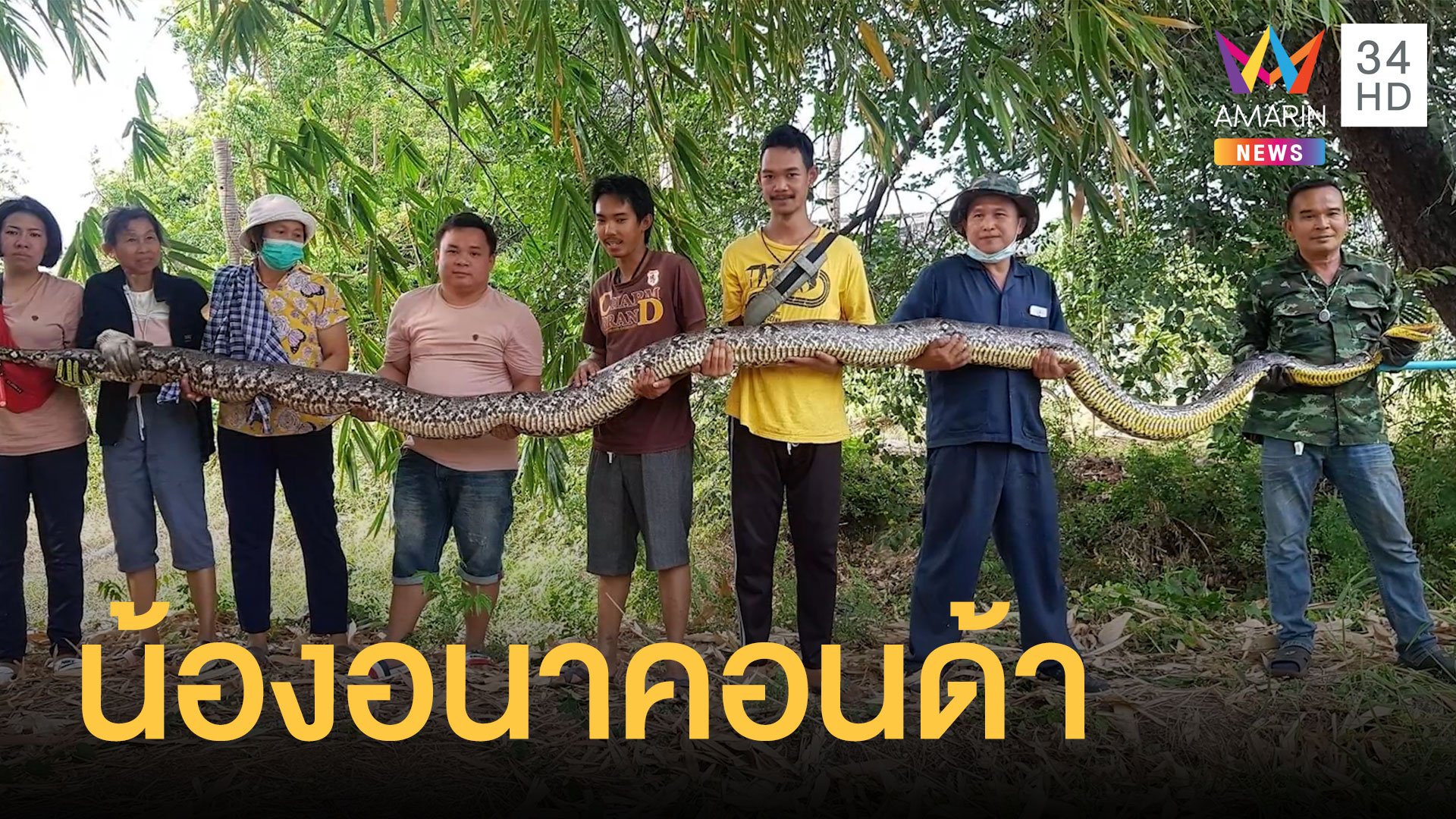 งูเหลือมยักษ์โผล่ใกล้บ้าน น้ำหนัก 100 กิโล ต้องใช้ 8 คนถือ | ข่าวอรุณอมรินทร์ | 2 มี.ค. 64 | AMARIN TVHD34