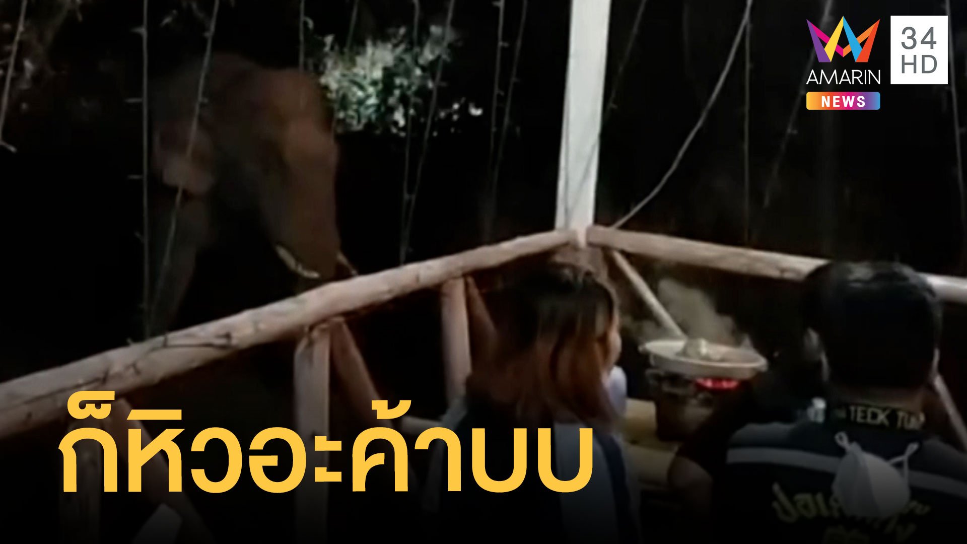 ช้างป่าบุกร้านหมูกระทะ ลูกค้าถึงกับวงแตก | ข่าวอรุณอมรินทร์ | 20 ธ.ค. 64 | AMARIN TVHD34