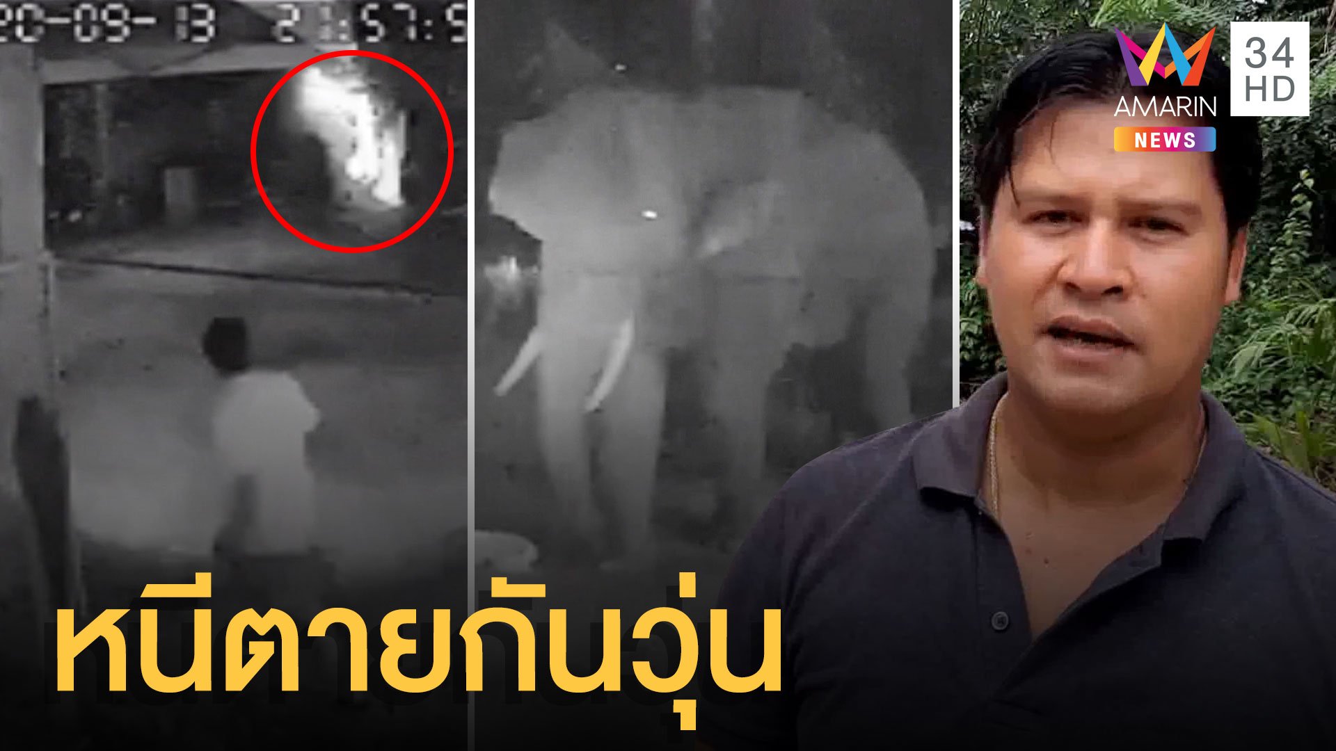 ชาวบ้านหนีตาย! ช้างป่าบุกบ้าน พังสวนเสียหายยับ | ข่าวเที่ยงอมรินทร์ | 15 ก.ย. 63 | AMARIN TVHD34