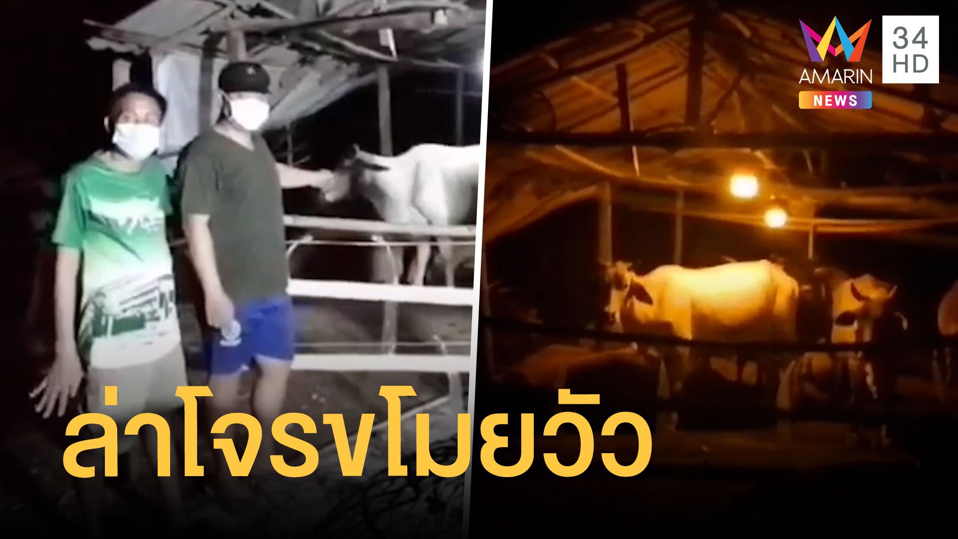 ชาวบ้านโวย โจรขโมยวัวอาละวาด หายนับ 10 ตัว | ข่าวเที่ยงอมรินทร์ | 21 ก.พ. 65 | AMARIN TVHD34