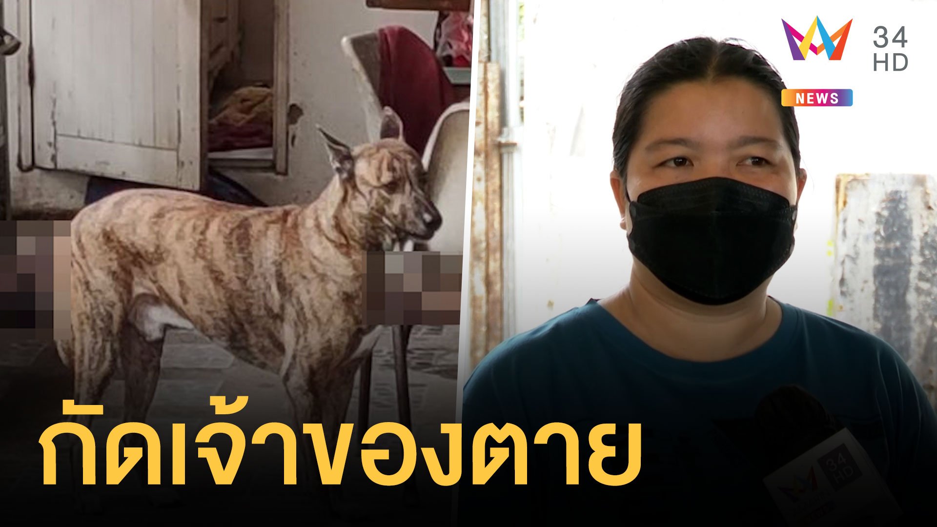 “ไอ้เสือ” หมาโหดขย้ำป้าเจ้าของบ้านดับคาที่  | ข่าวเที่ยงอมรินทร์ | 29 ส.ค. 64 | AMARIN TVHD34