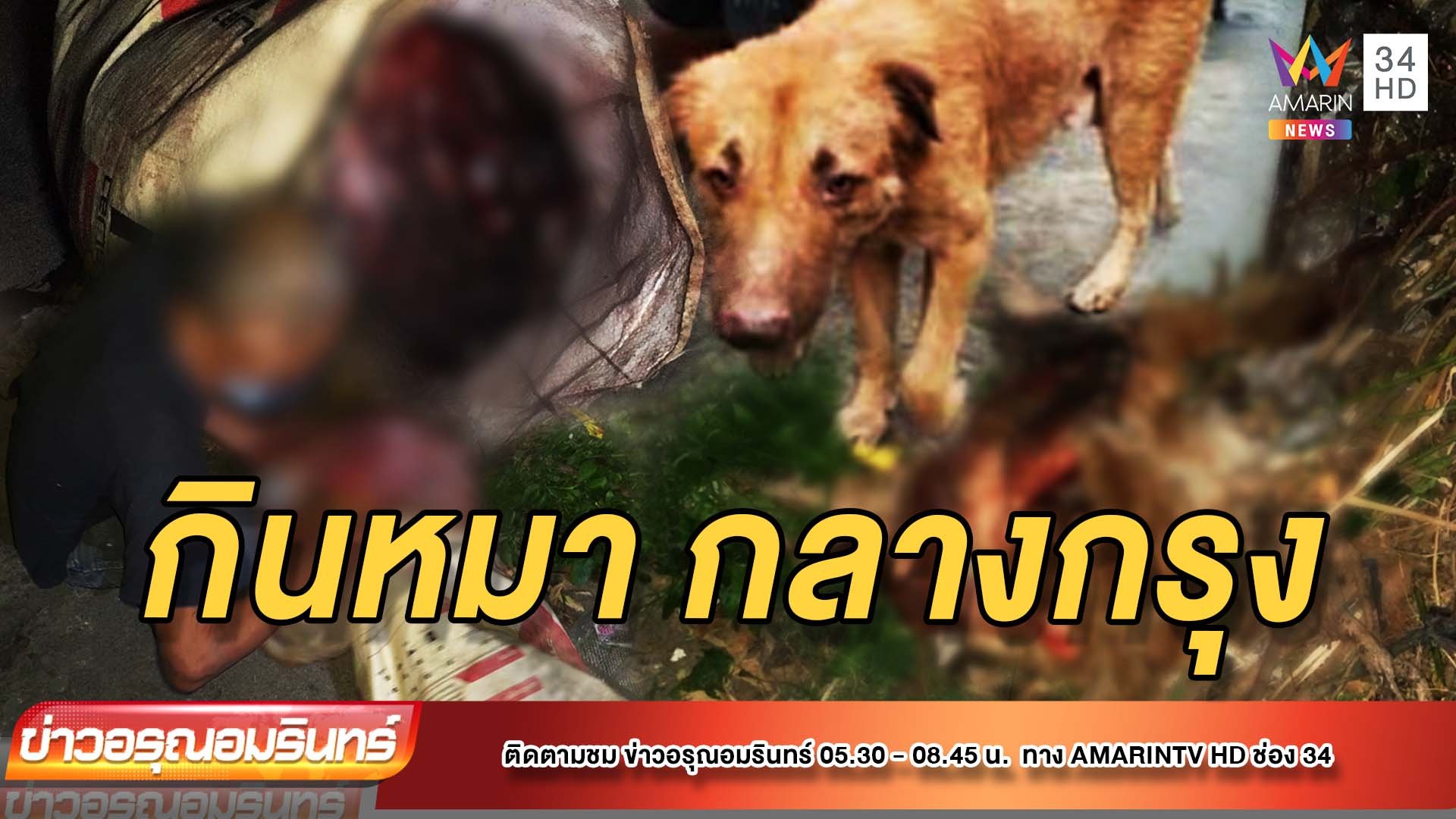 สยอง! คนกินหมา "ถลกหนัง-แล่เนื้อ" | ข่าวอรุณอมรินทร์ | 6 ธ.ค. 64 | AMARIN TVHD34