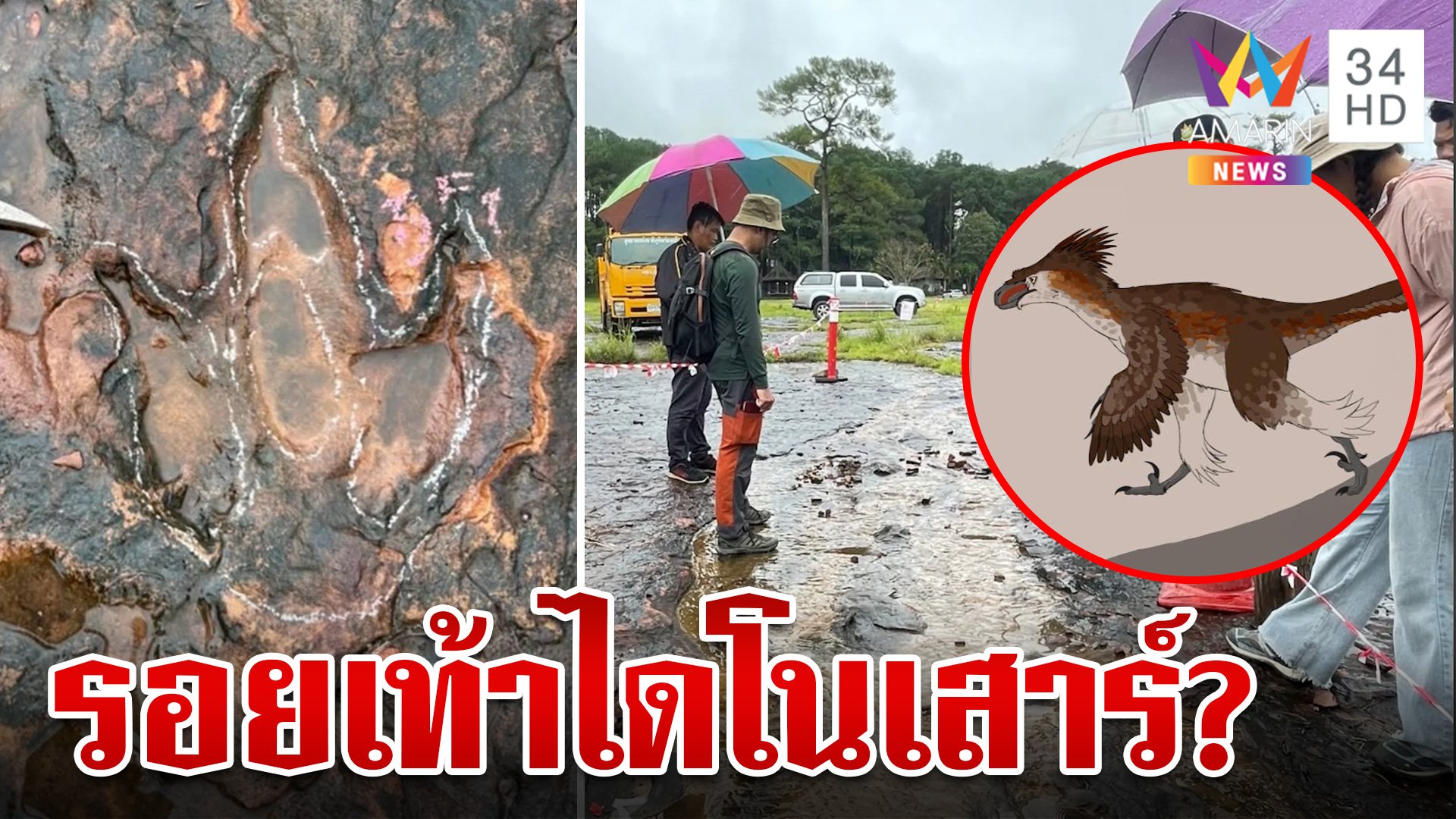 ฮือฮา!พบรอยเท้าไดโนเสาร์แห่งใหม่ที่อุทยานแห่งชาติภูหินร่องกล้า | ทุบโต๊ะข่าว | 3 ส.ค. 67 | AMARIN TVHD34