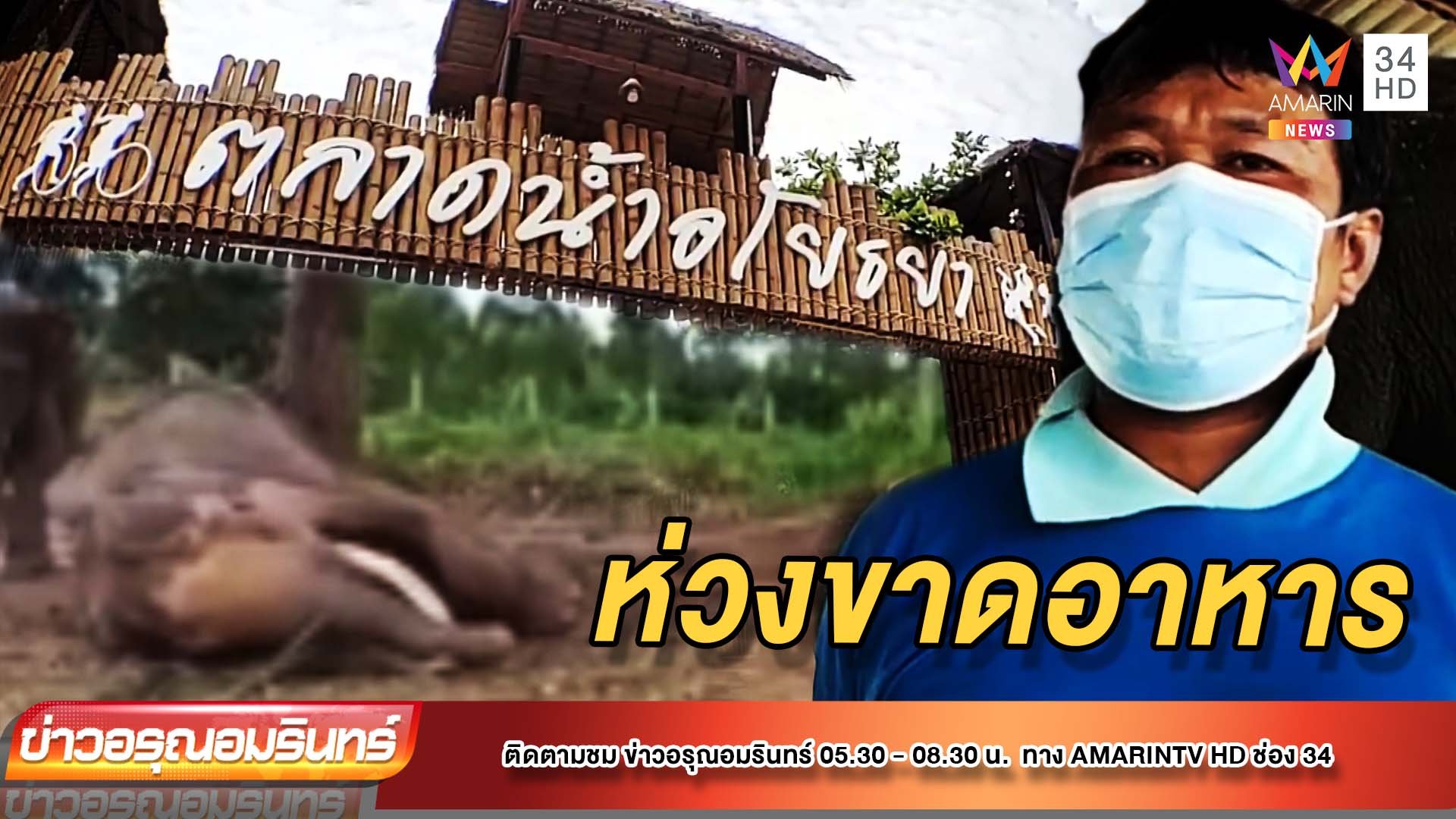 น่าห่วง! ช้างตลาดน้ำอโยธยาขาดอาหาร หลังนักท่องเที่ยวหาย | ข่าวอรุณอมรินทร์ | 1 ก.ย. 64 | AMARIN TVHD34