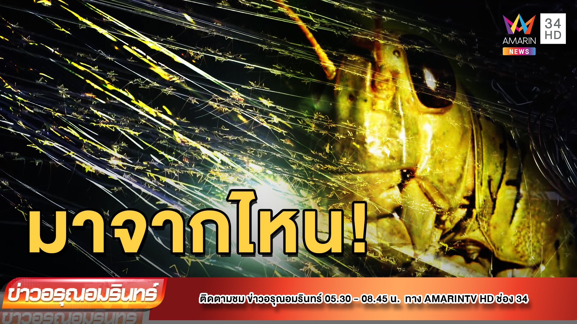 ฝูงตั๊กแตนปาทังก้า เกาะสายไฟหน้าวัด | ข่าวอรุณอมรินทร์ | 10 พ.ค. 65 | AMARIN TVHD34