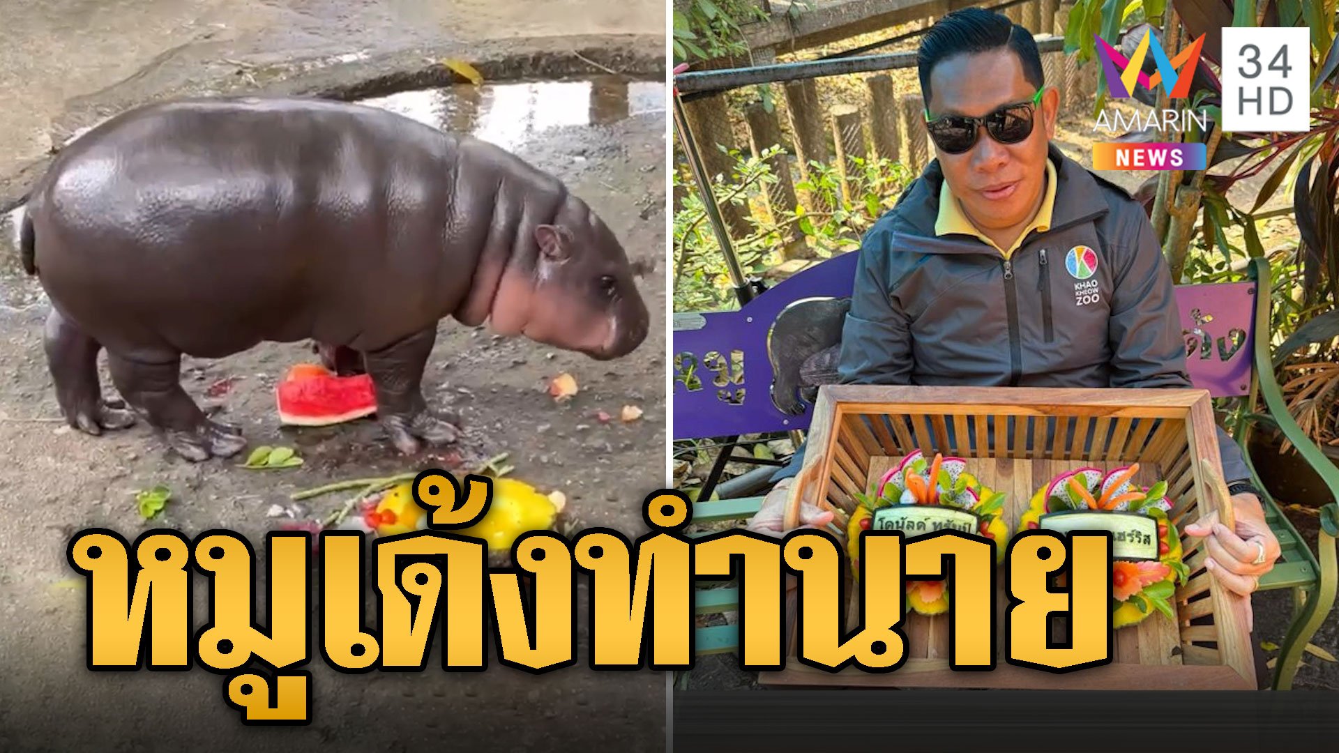 หมูเด้ง มาแล้ว! ทำนายใครจะได้เป็น ปธน.สหรัฐฯ | ข่าวอรุณอมรินทร์ | 6 พ.ย. 67 | AMARIN TVHD34