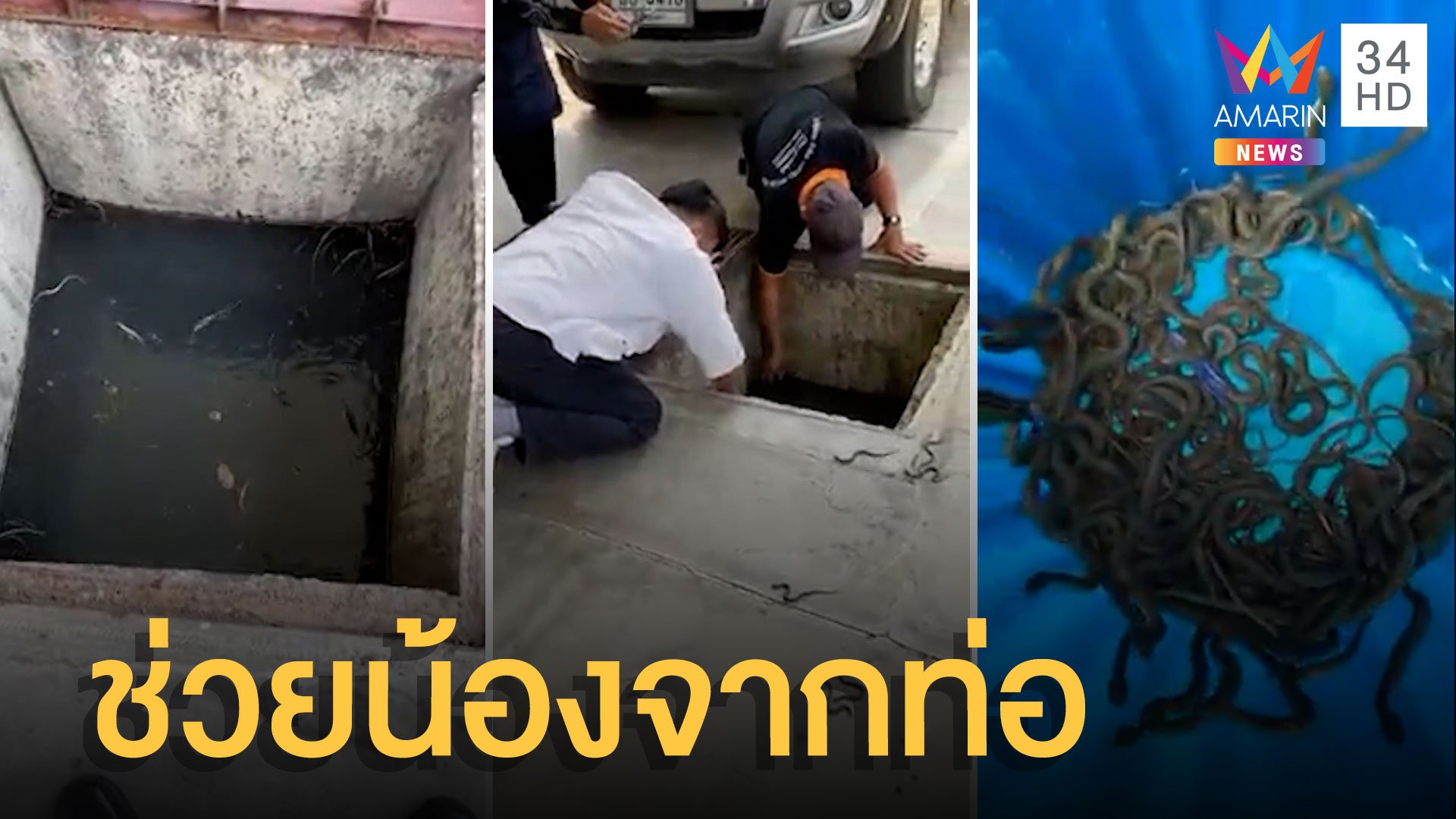 ขนลุกซู่! ช่วยลูกงูนับร้อยในท่อระบายน้ำ | ข่าวอรุณอมรินทร์ | 12 เม.ย. 65 | AMARIN TVHD34