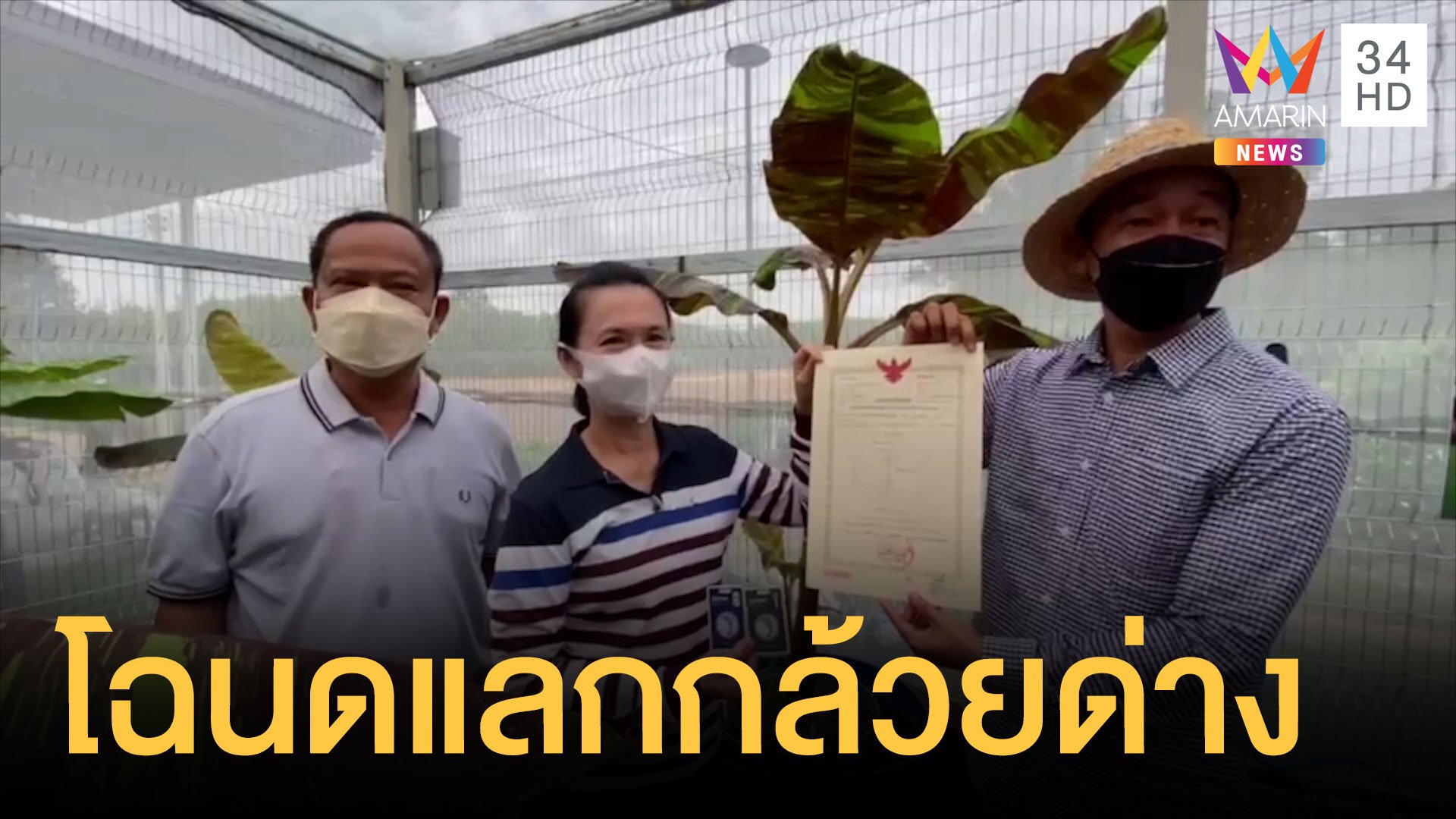 หิ้วโฉนดคอนโดหัวหิน 3 ล้าน แลกกล้วยด่างแดงอินโด | ข่าวอรุณอมรินทร์ | 13 ก.พ. 65 | AMARIN TVHD34