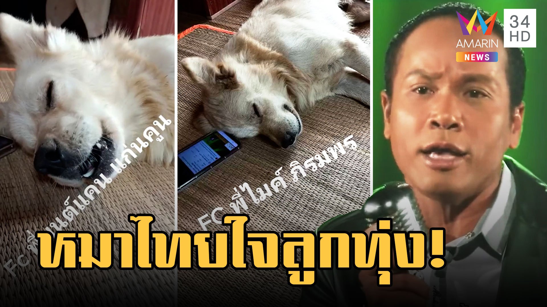 ไข่เค็มหมาไทยใจลูกทุ่ง ร้องเพลง "ไมค์ ภิรมย์พร - มนต์แคน" | ข่าวอรุณอมรินทร์ | 13 มี.ค. 66 | AMARIN TVHD34